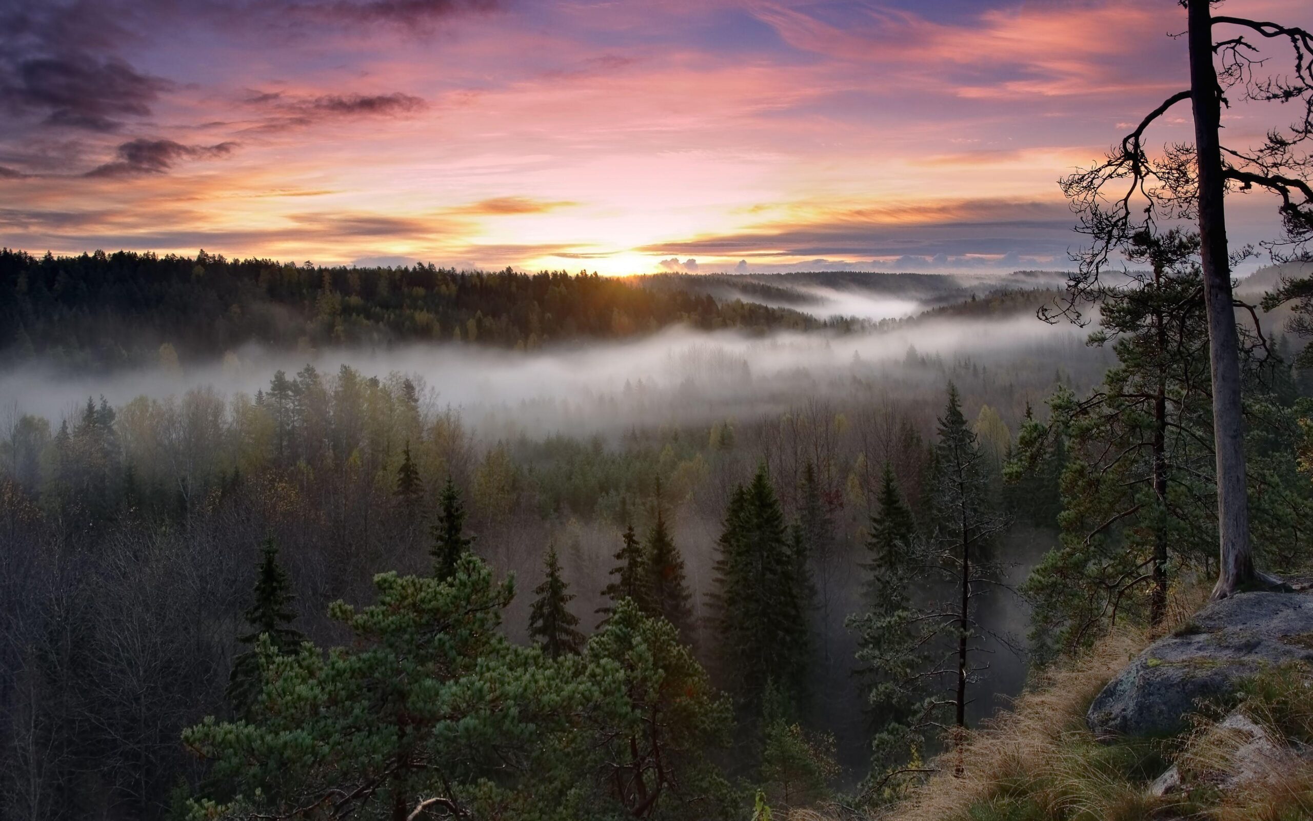 Nuuksio National Park, Finland wallpapers and image