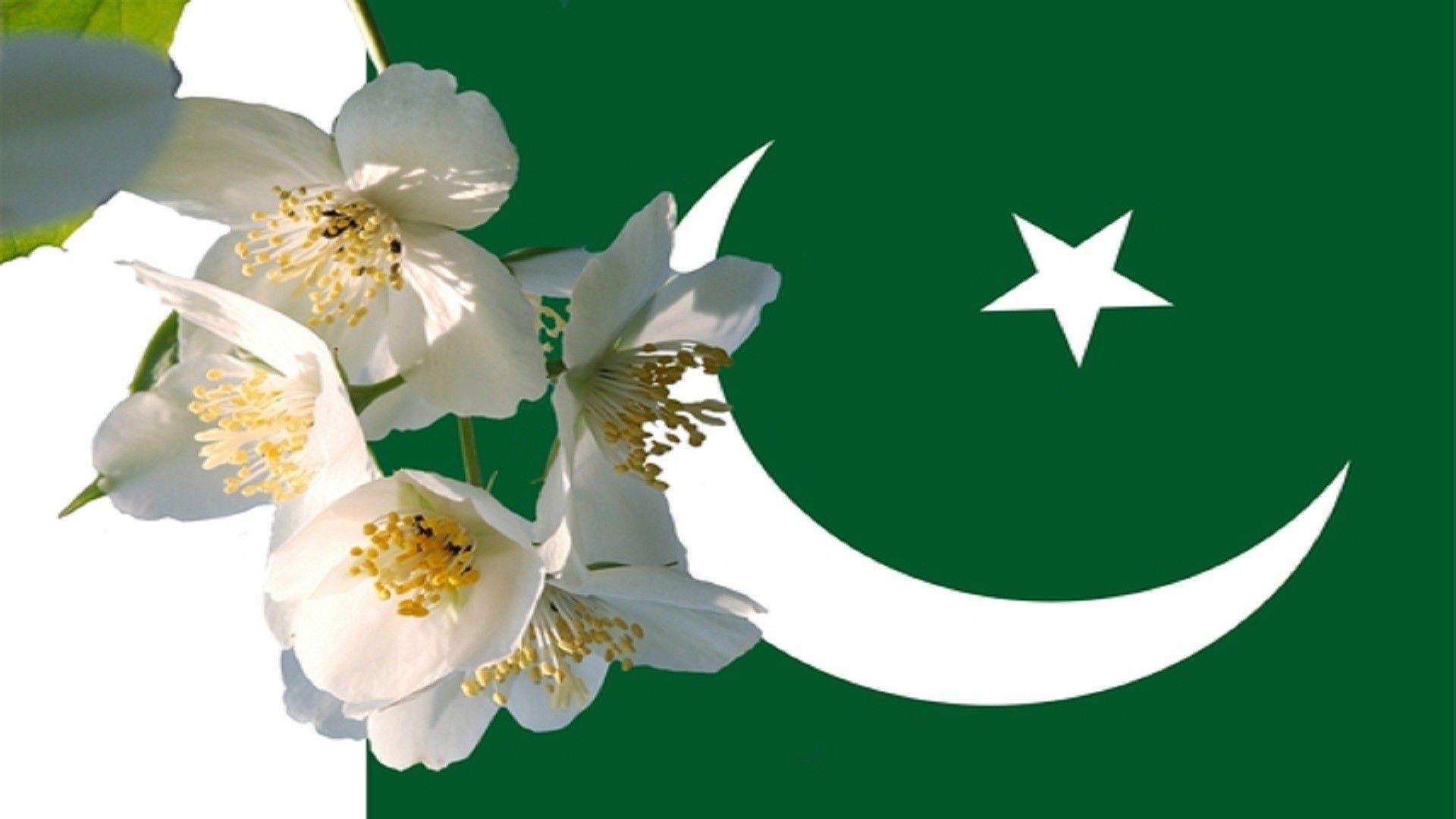 Pakistan Flag Wallpapers HD 2018 ·①