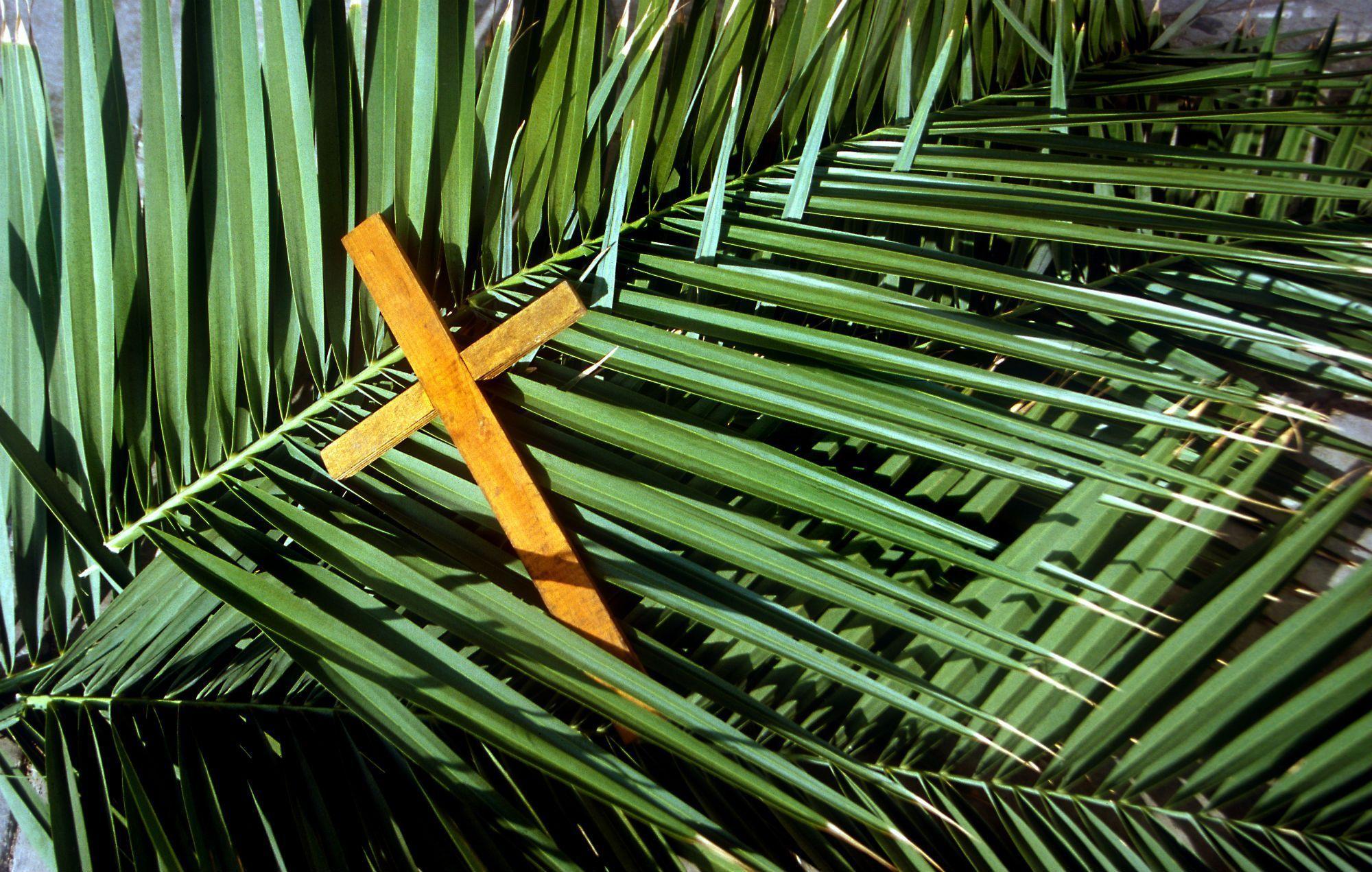 Palm Sunday Quotes from Bible, Wishes, Pictures and Image