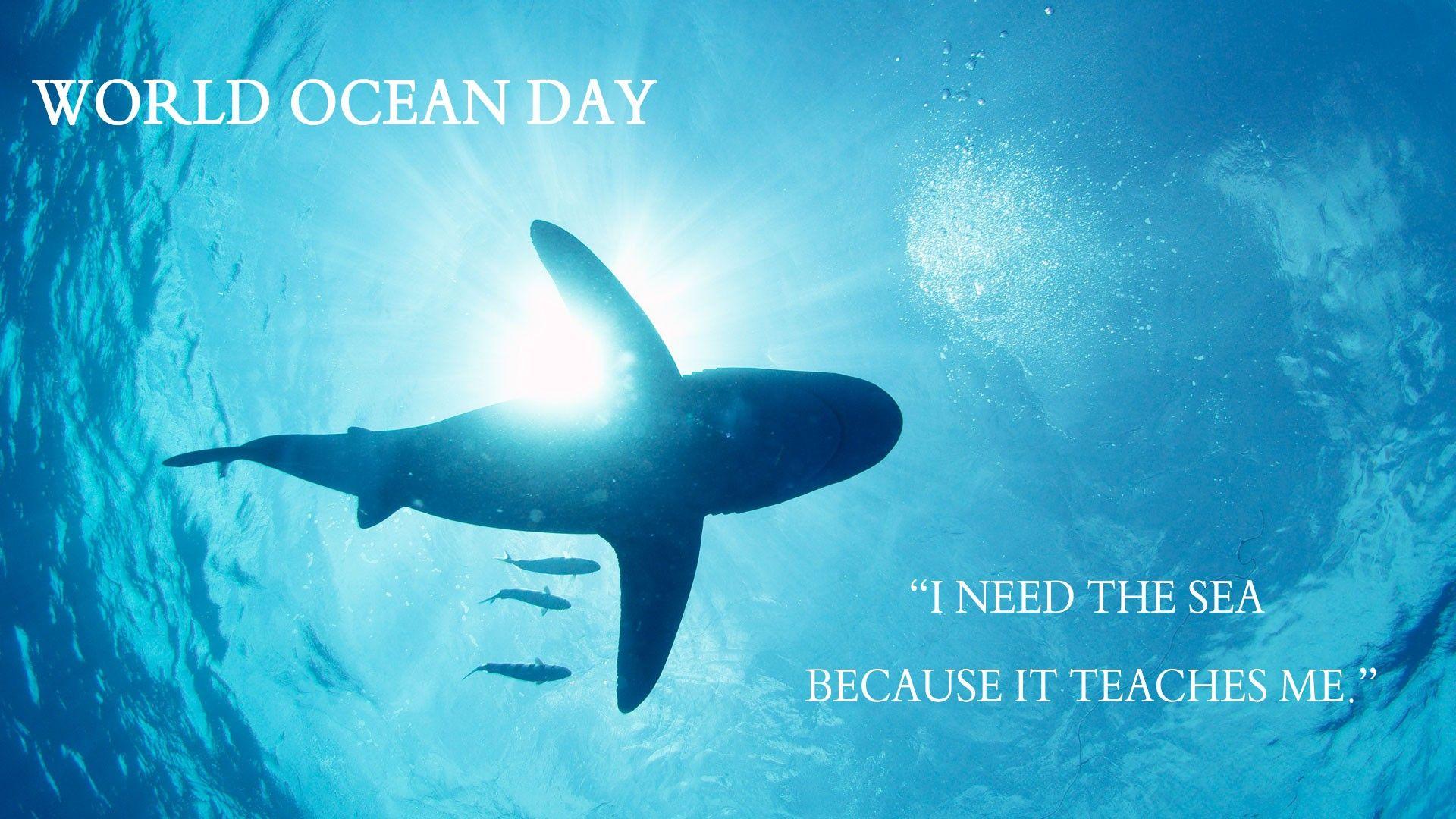 World Oceans Day Wallpapers