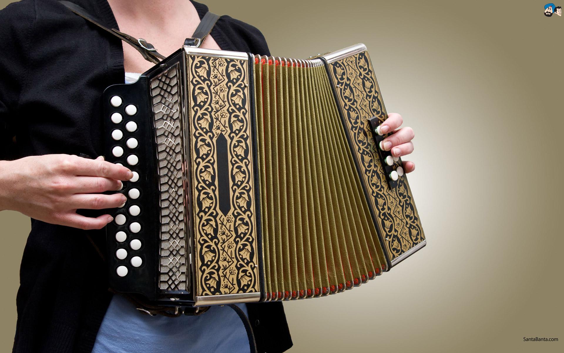 Traditional Accordion