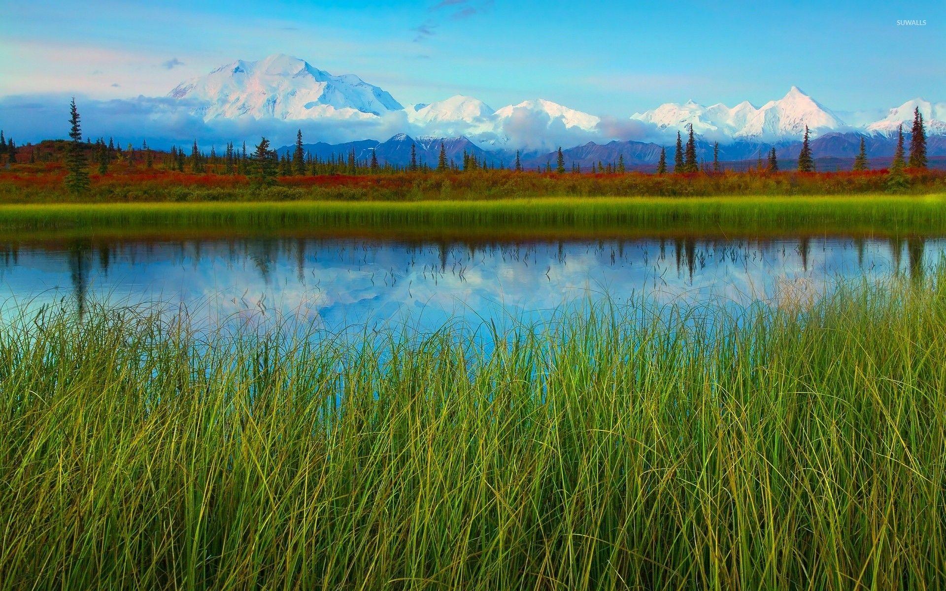 Denali National Park and Preserve wallpapers