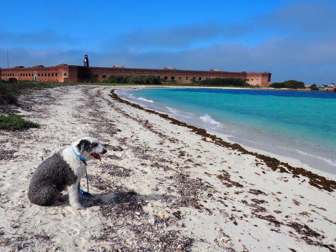 Dry Tortugas National Park: A Fortress In the Sea