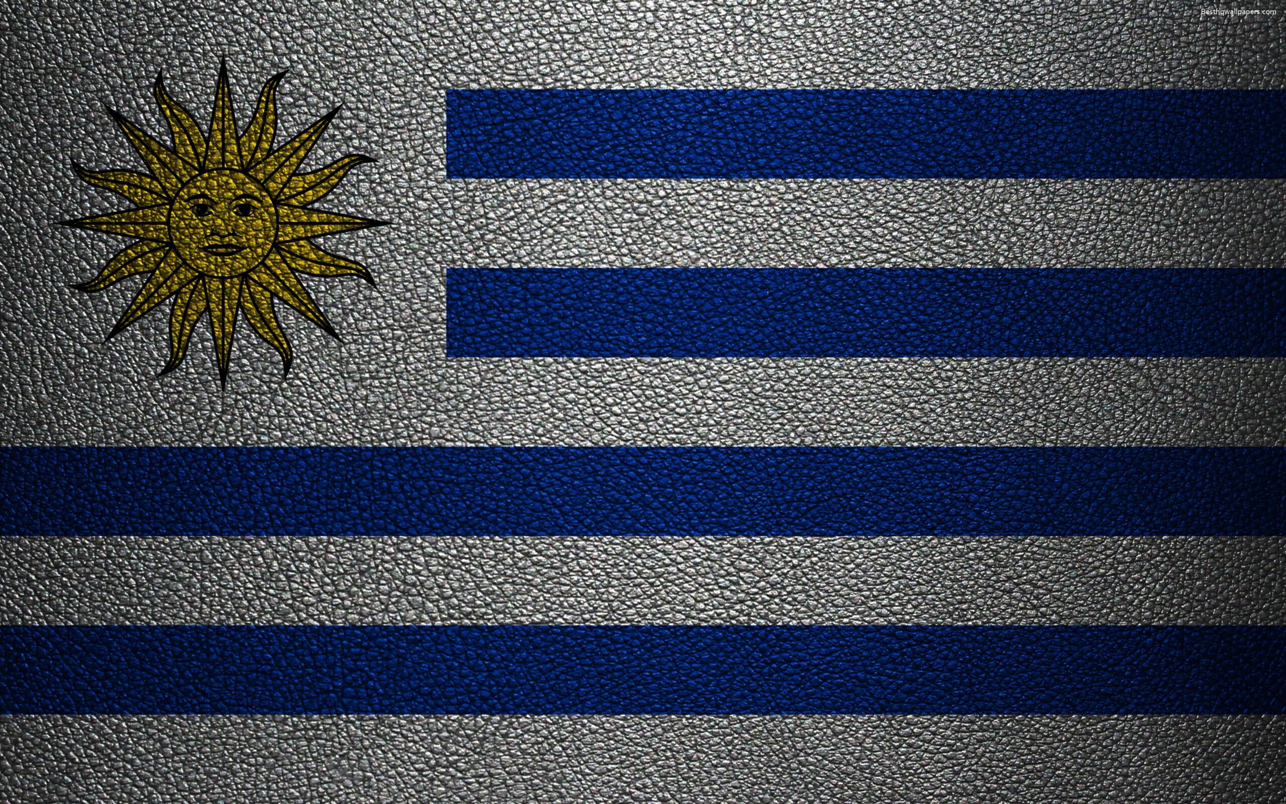 Download wallpapers Flag of Uruguay, 4k, leather texture, Uruguayan