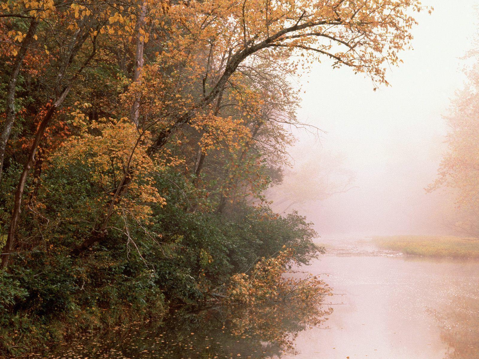 Buffalo River, Arkansas Computer Wallpapers, Desktop Backgrounds