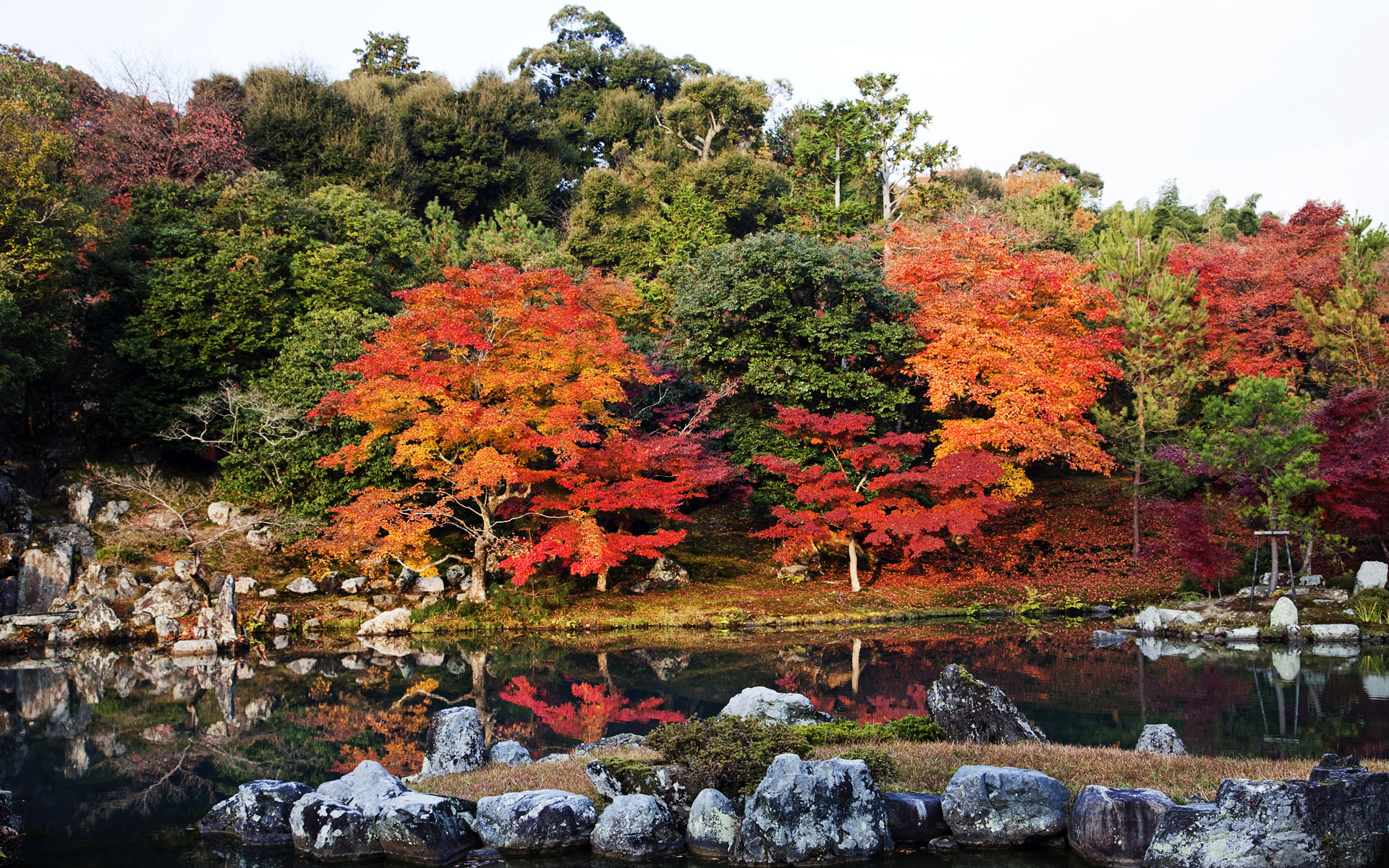 Autumn leaves in the Landscape Garden, Tenry? Shiseizen