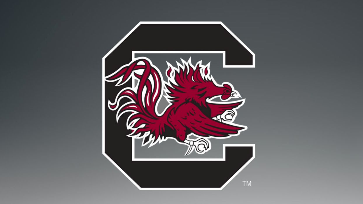 SOUTH CAROLINA GAMECOCKS college football wallpapers