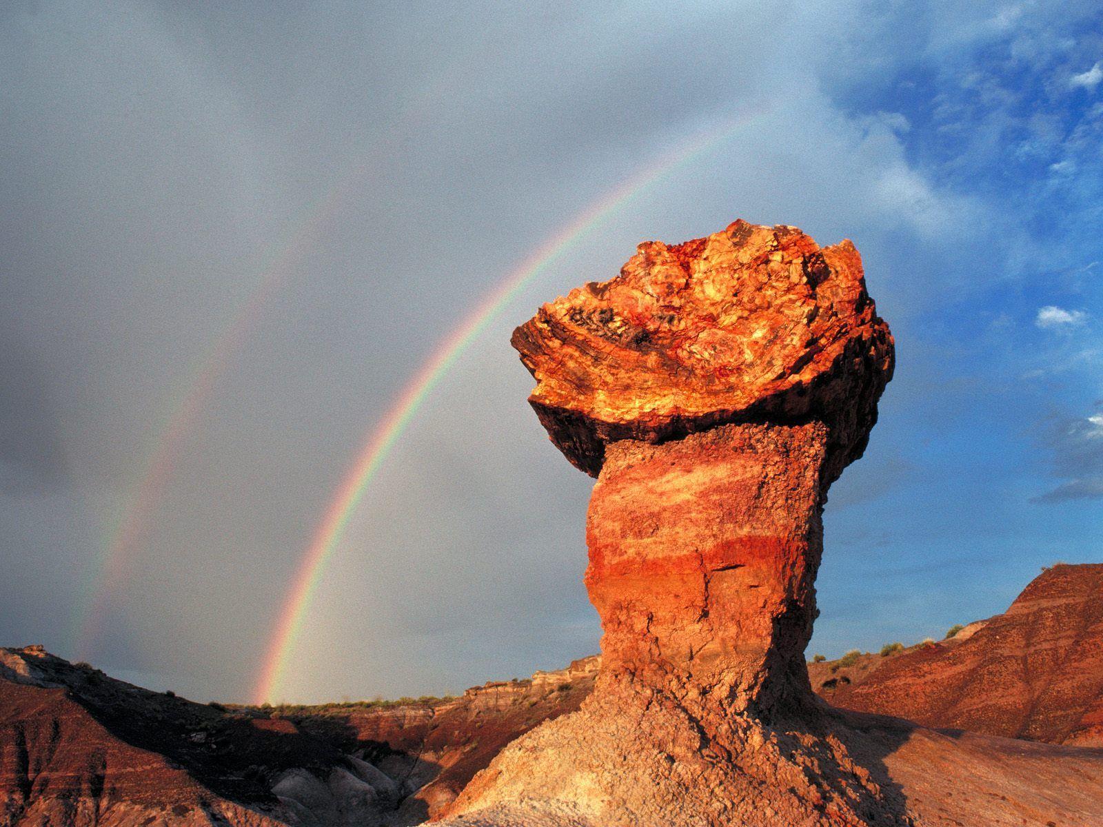 Wallpapers Pedestal Log Blue Mesa Petrified Forest National Park