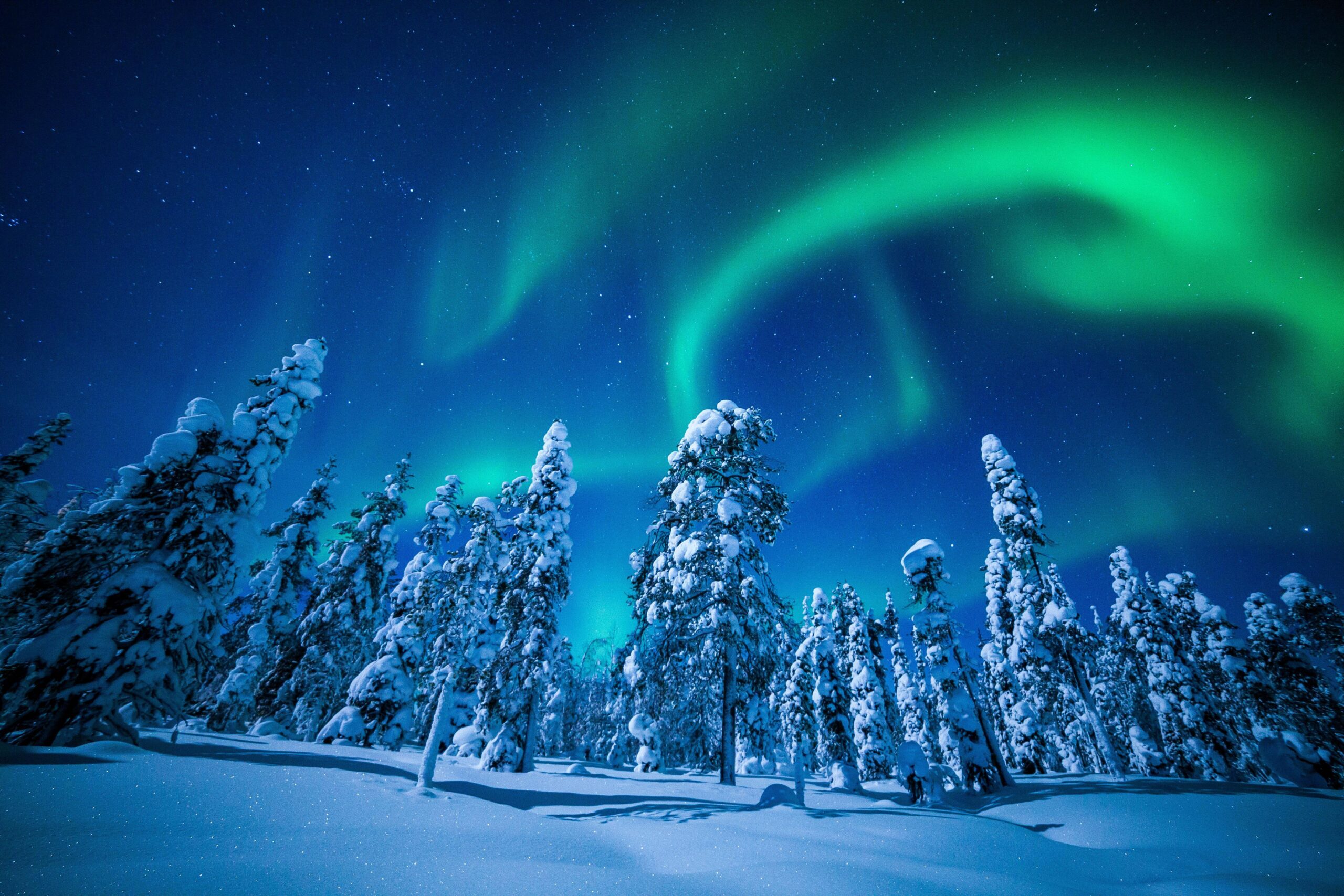 Wallpapers lapland, finland, winter, snow, tree, northen lights