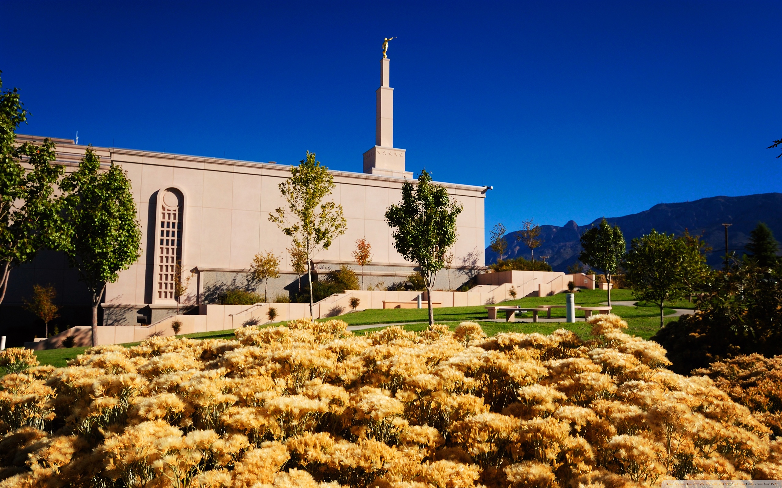 Albuquerque New Mexico Temple, October ❤ 4K HD Desktop Wallpapers