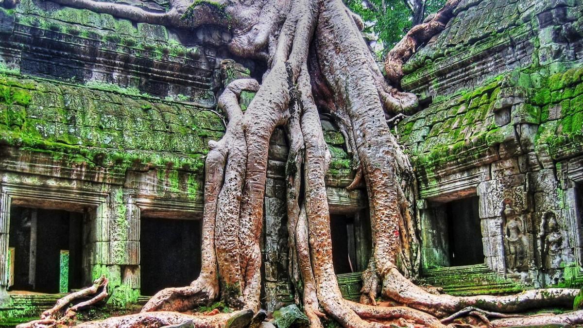 Five Days Siem reap Tours