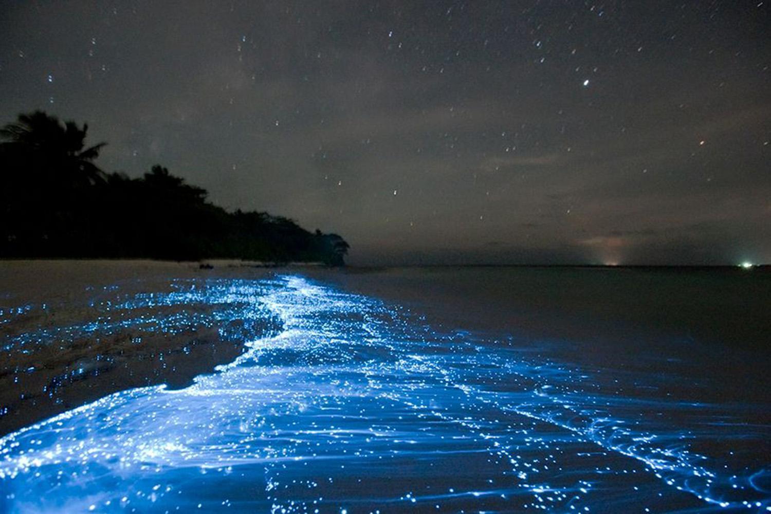 Maldives’ Vaadhoo Island and its Sea of Stars make the perfect