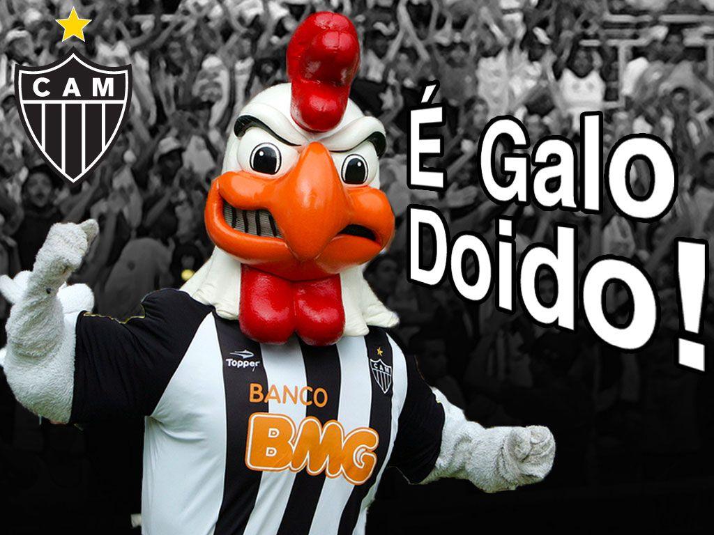 Galo Doido!