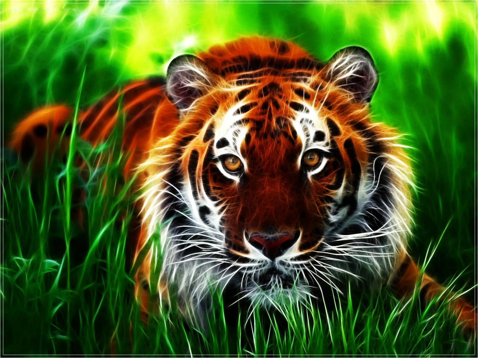 3D Tiger HD Wallpapers