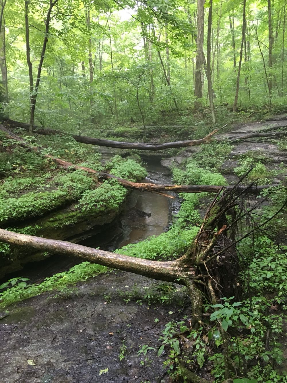 Hell’s Hollow McConnell’s Mill State Park Pennsylvania [OC