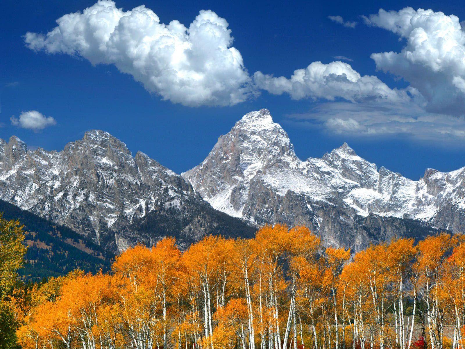 Grand Teton National Park Wallpapers