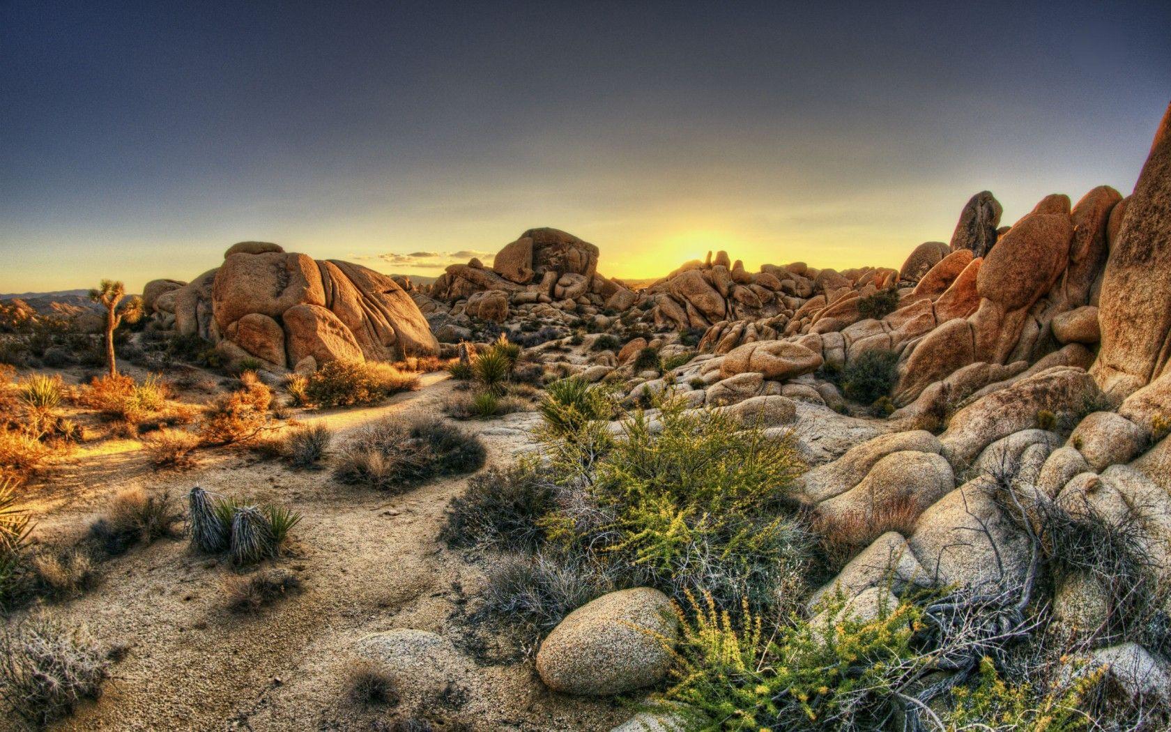 Joshua Tree National Park