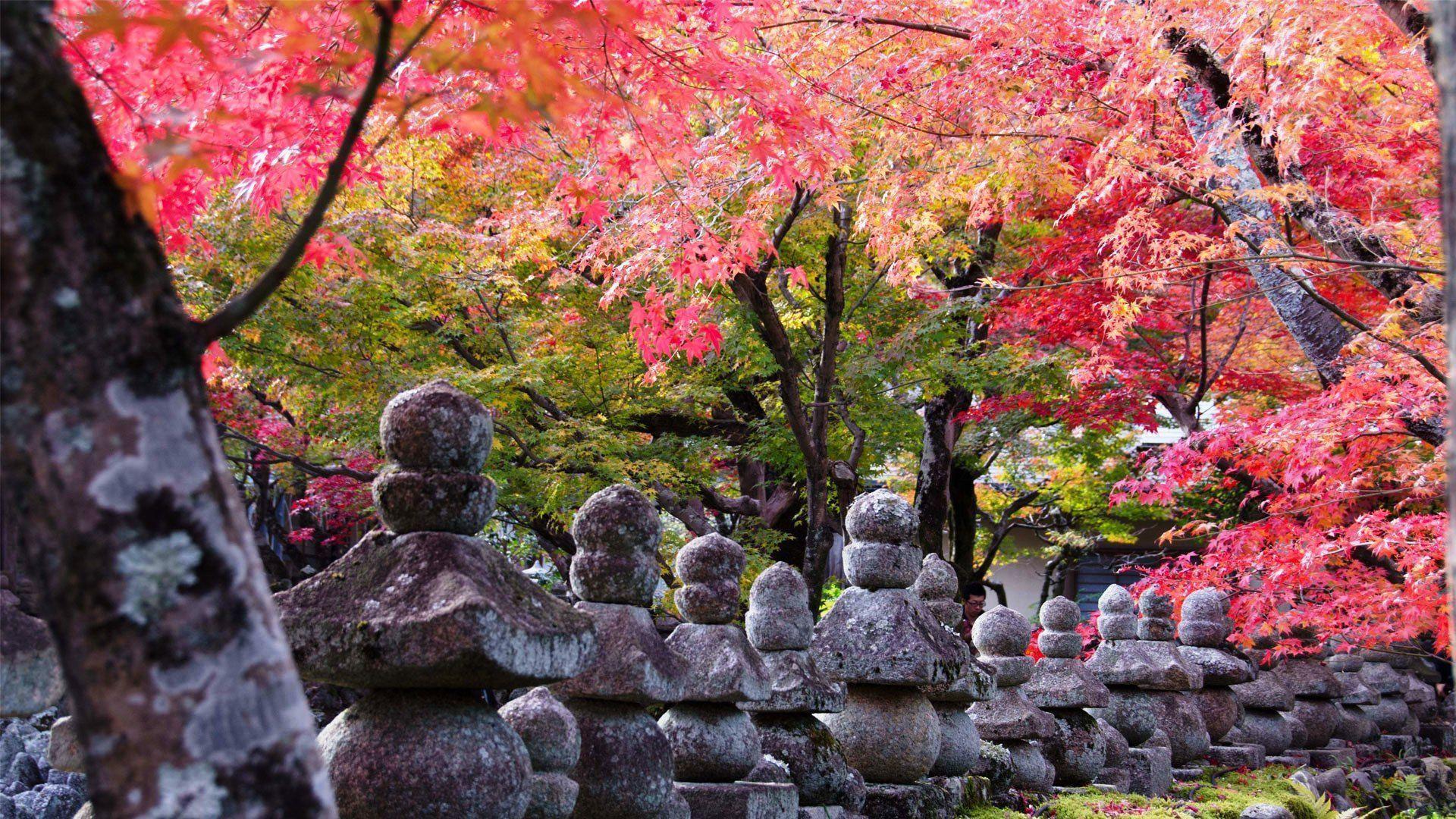 Kyoto Shrine Wallpapers 19564