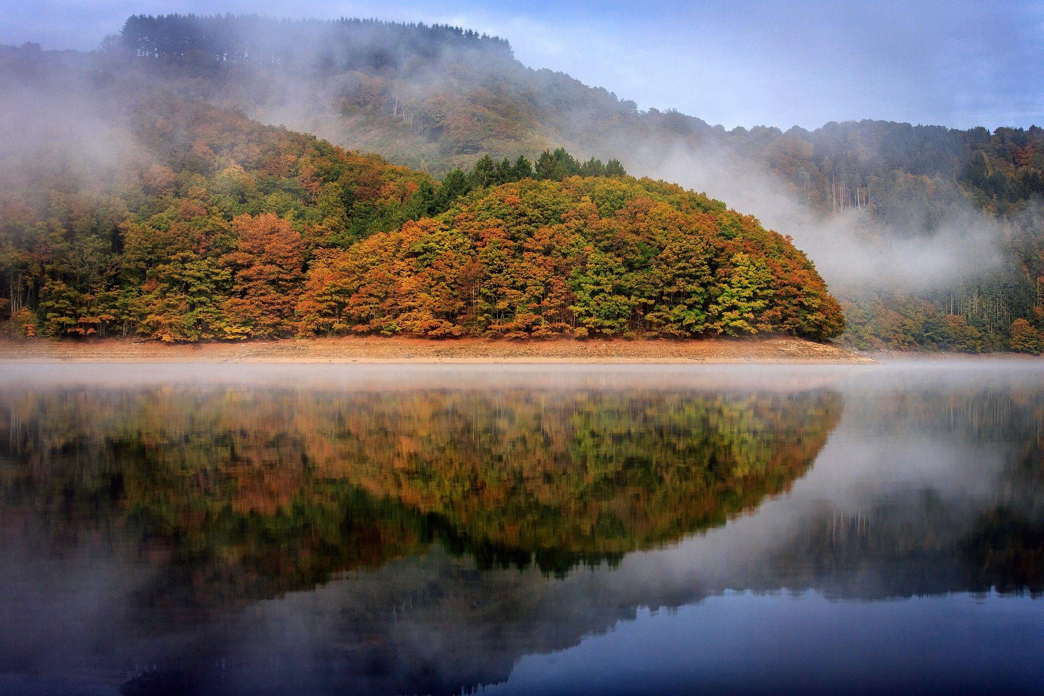 nature, Landscape, Trees, Luxemburg, Forest, Water, Mist, Fall