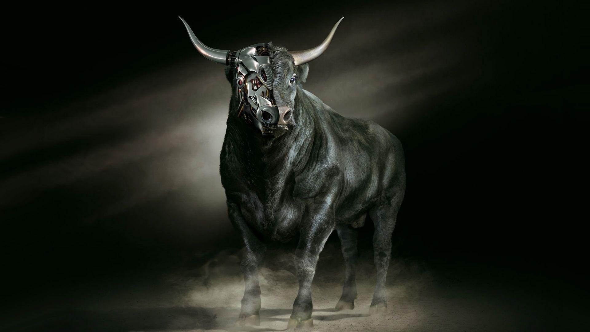 Taurus