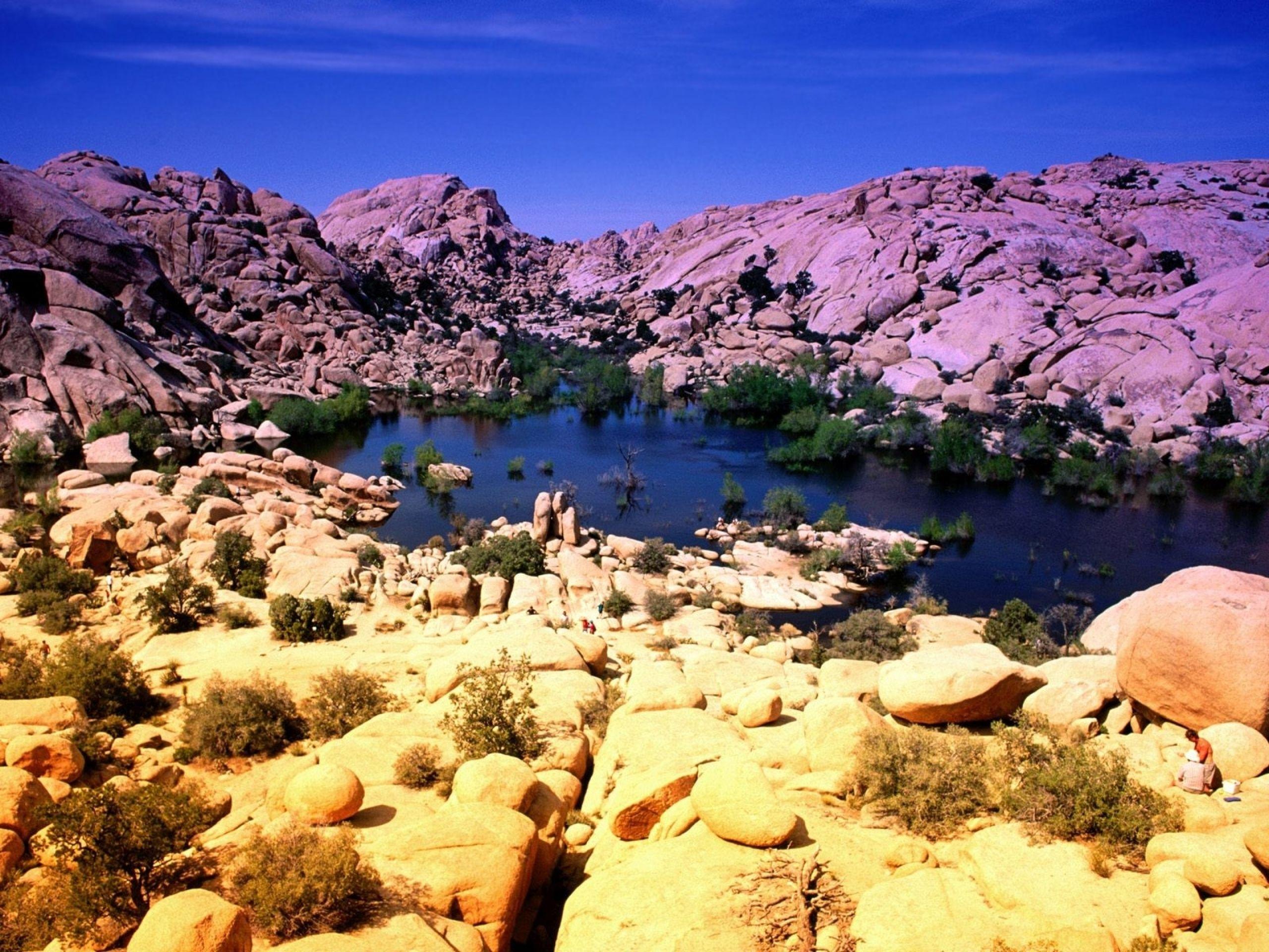 Joshua Tree National Park wallpapers