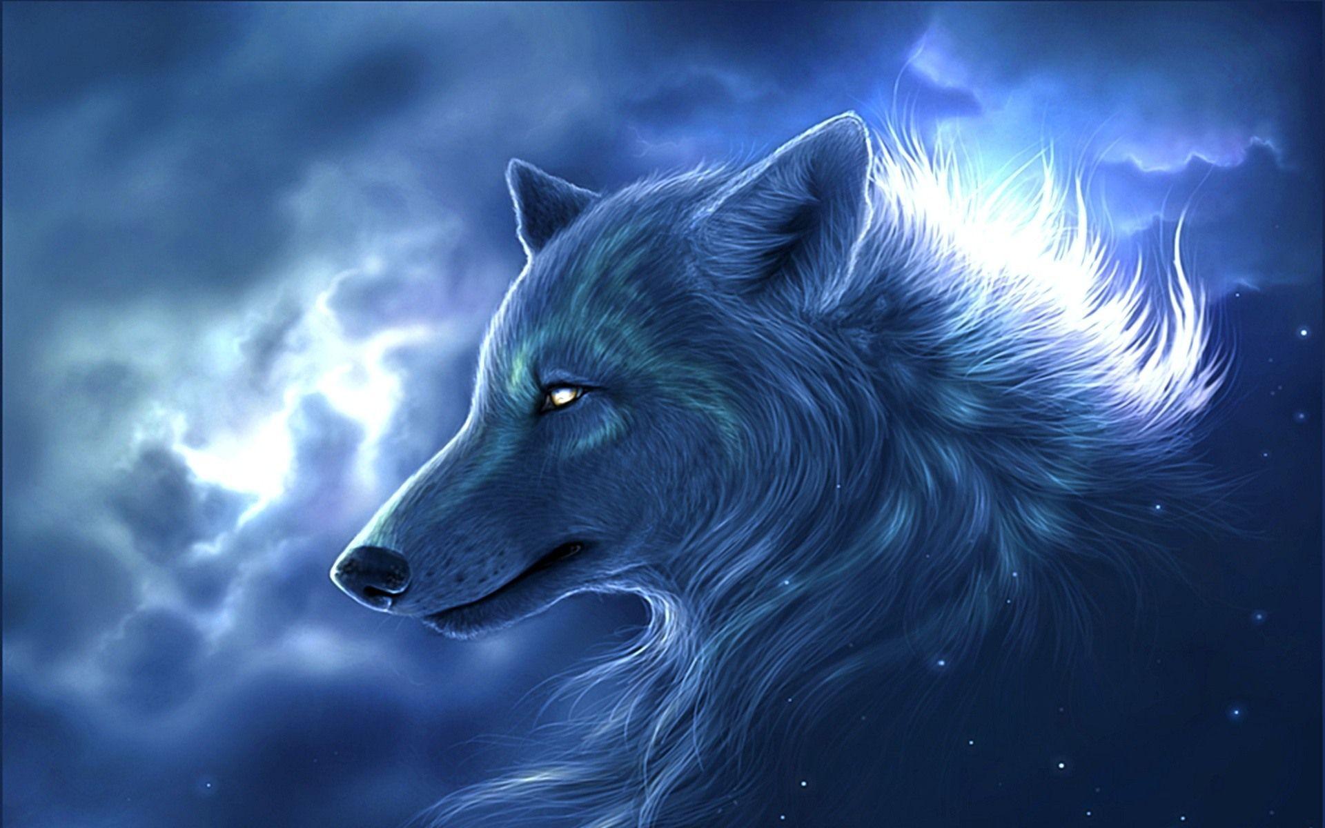 wolf wallpapers