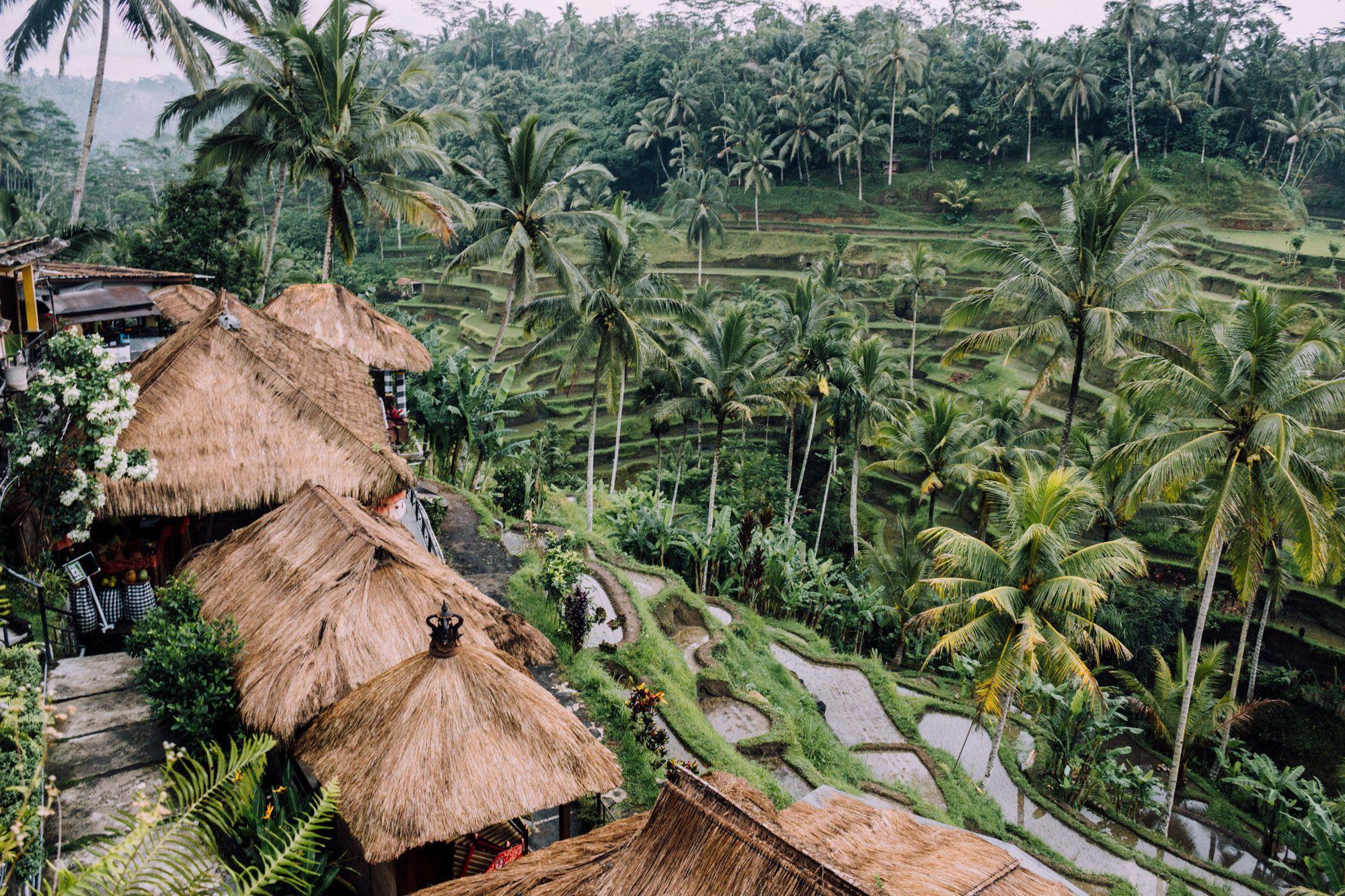 Ubud Hd Backgrounds