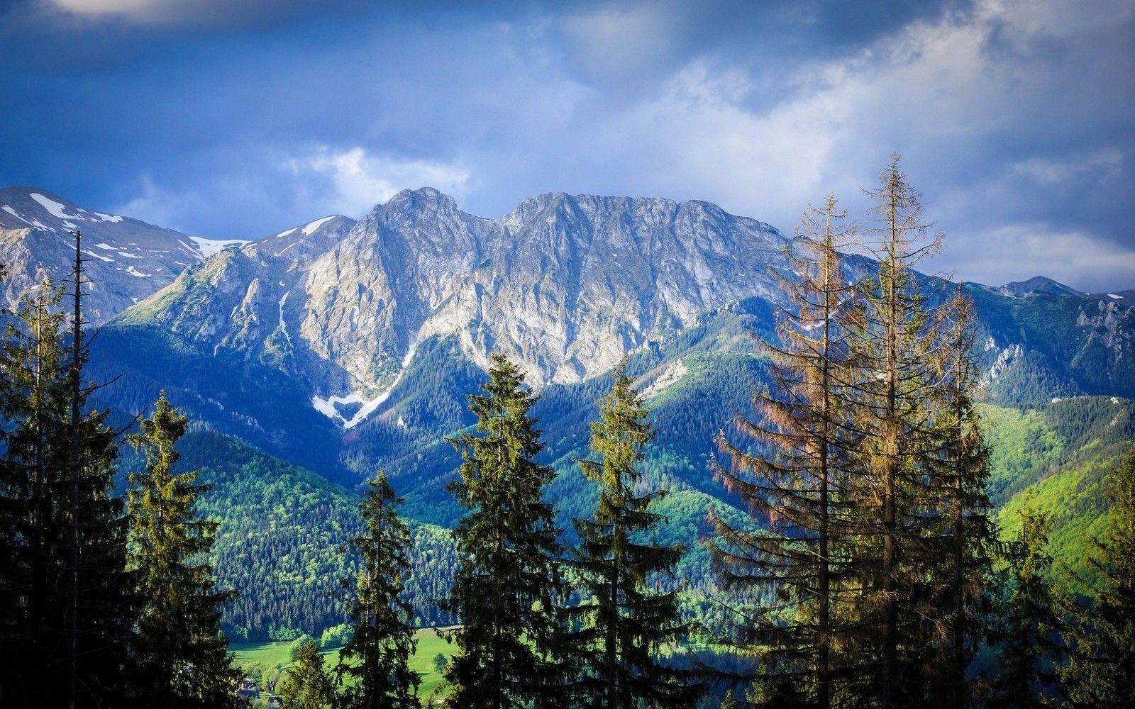 nature, Landscape, Mountain, Forest, Carpathians, Trees, Clouds