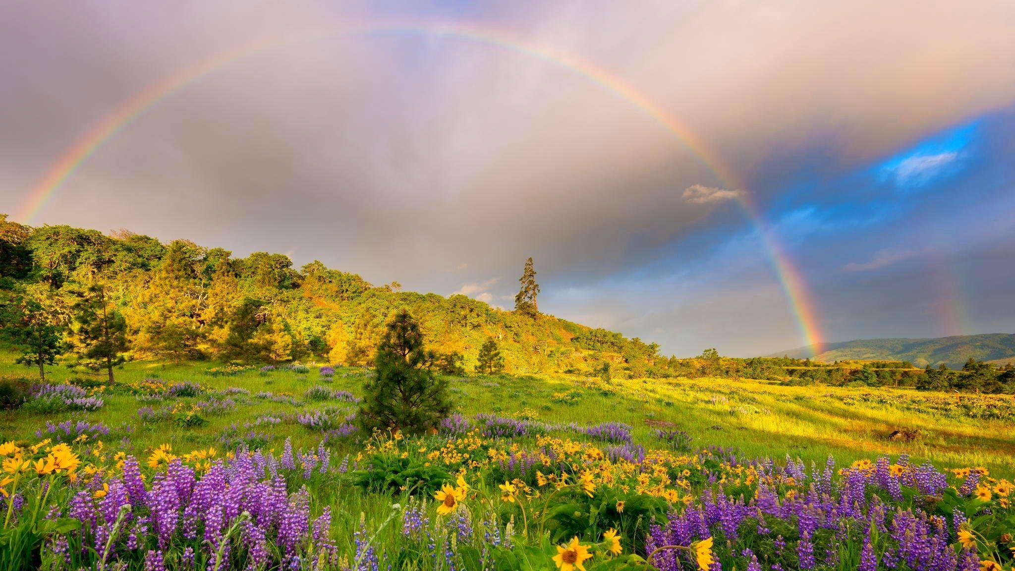 grass, meadows, flowers, clouds, springtime, rainbow, hills