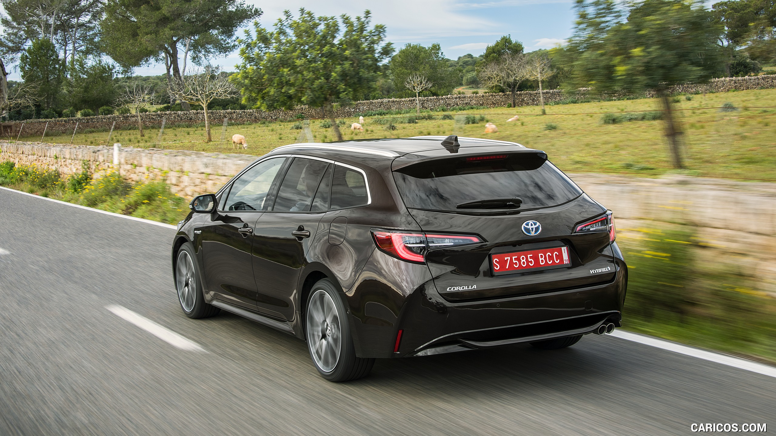 2019 Toyota Corolla Touring Sports 2.0L Brown