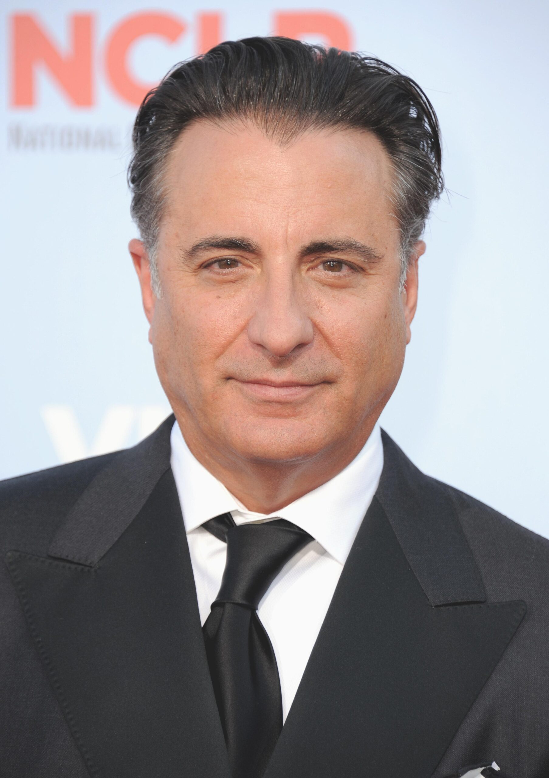 Andy Garcia Wallpapers High Quality