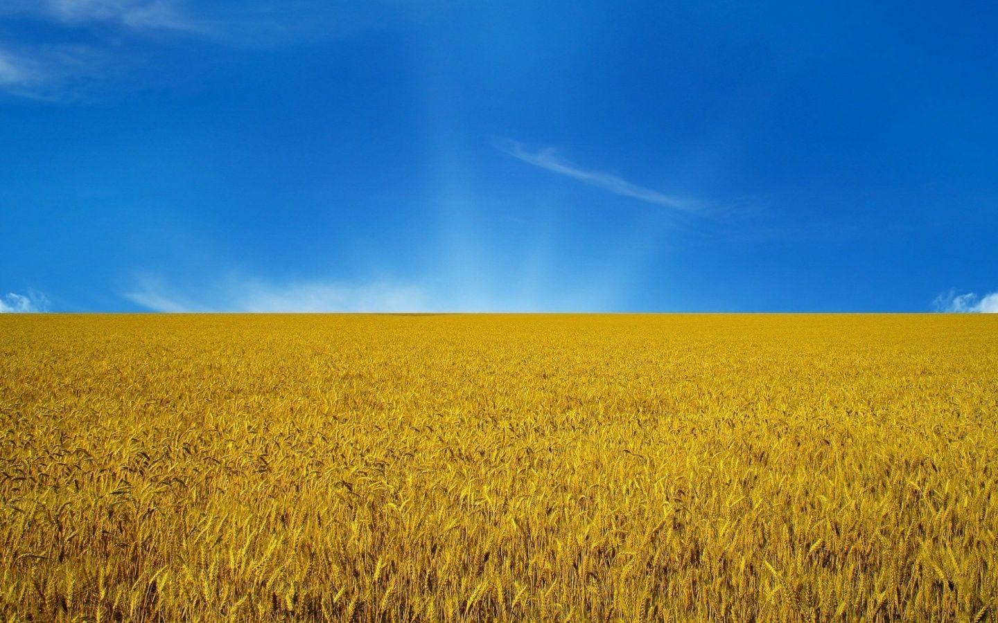 Ukraine Flag