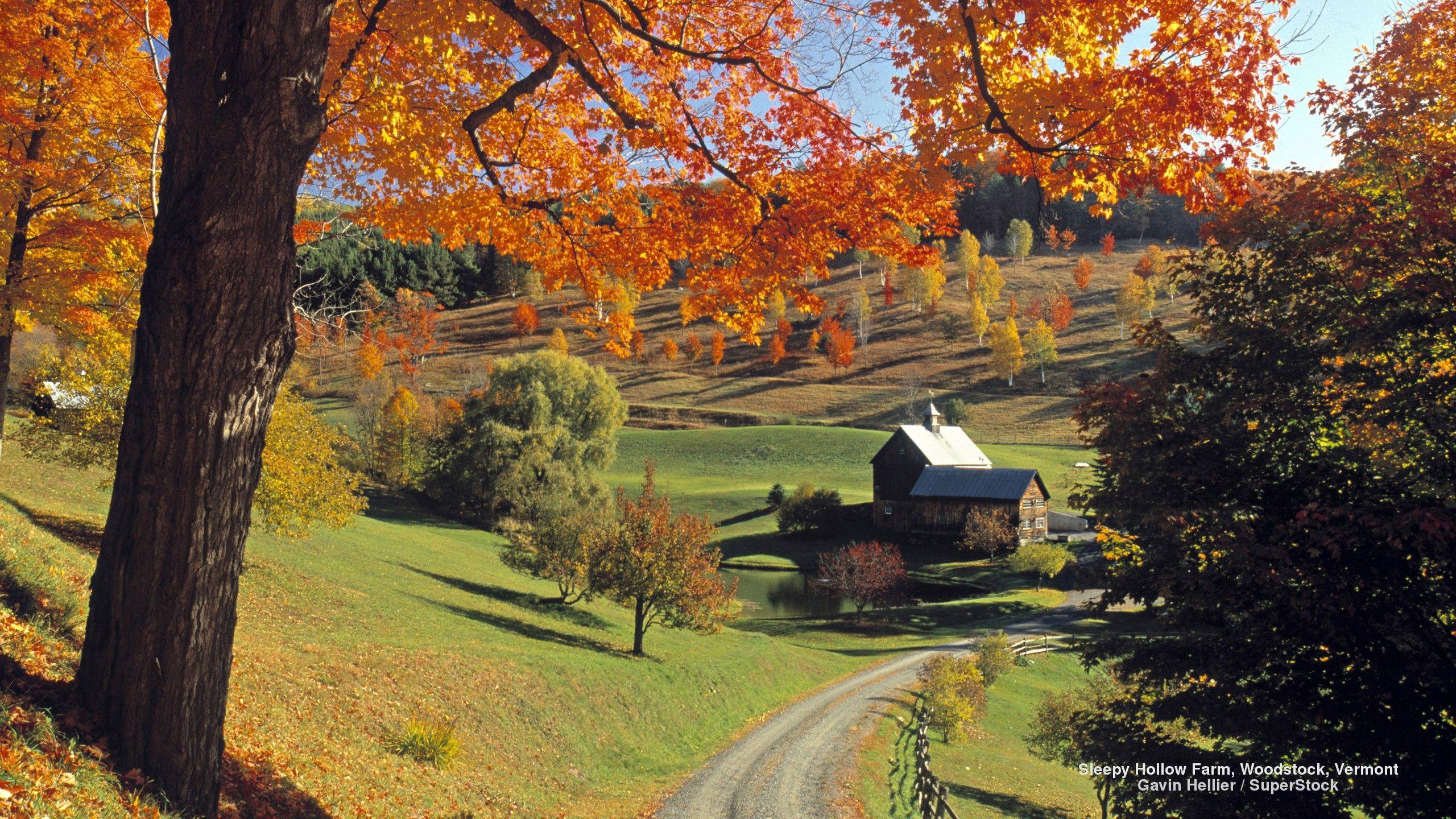 Fields: Landscapes Landscape Vermont Trees Mountains Roads Nature