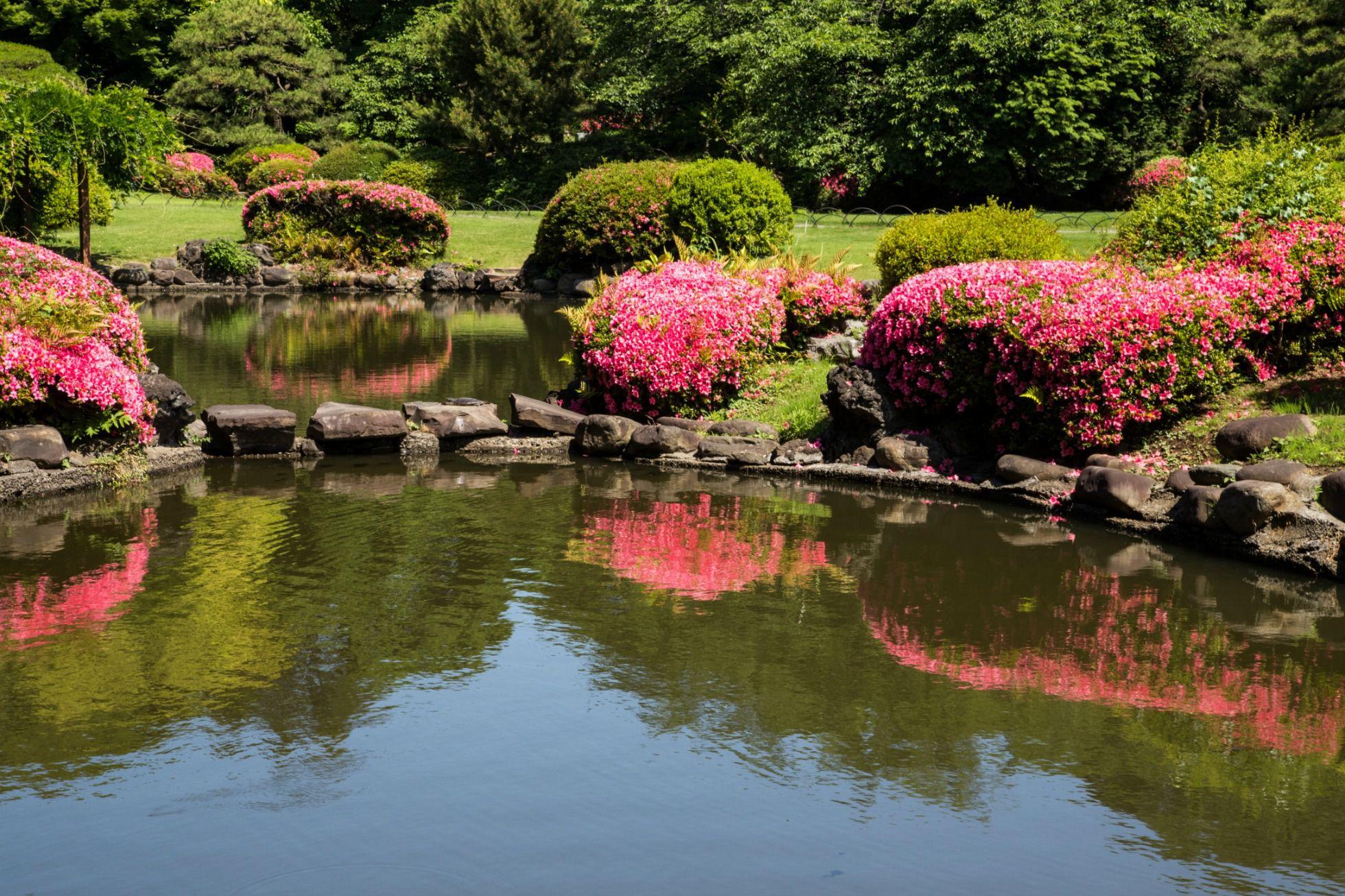 25 Beautiful Japanese Gardens