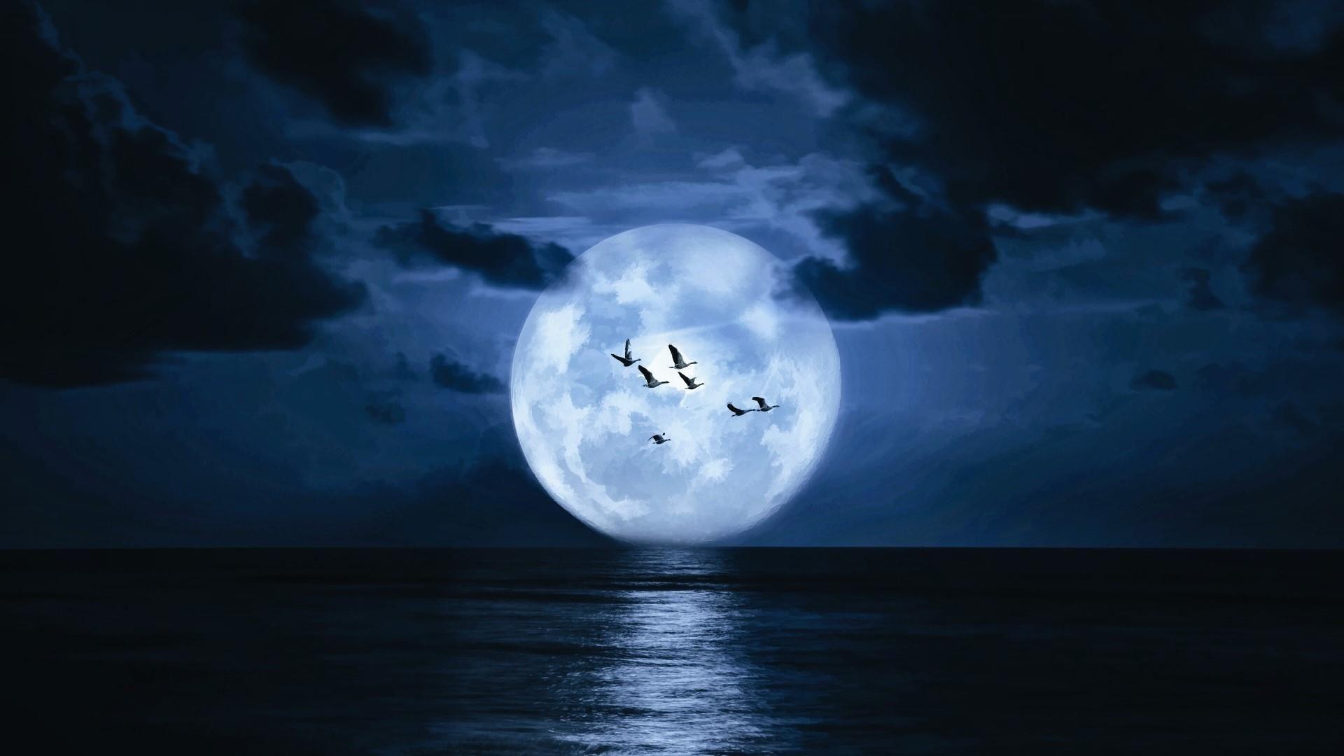 Supermoon On The Night Sky Above The Sea