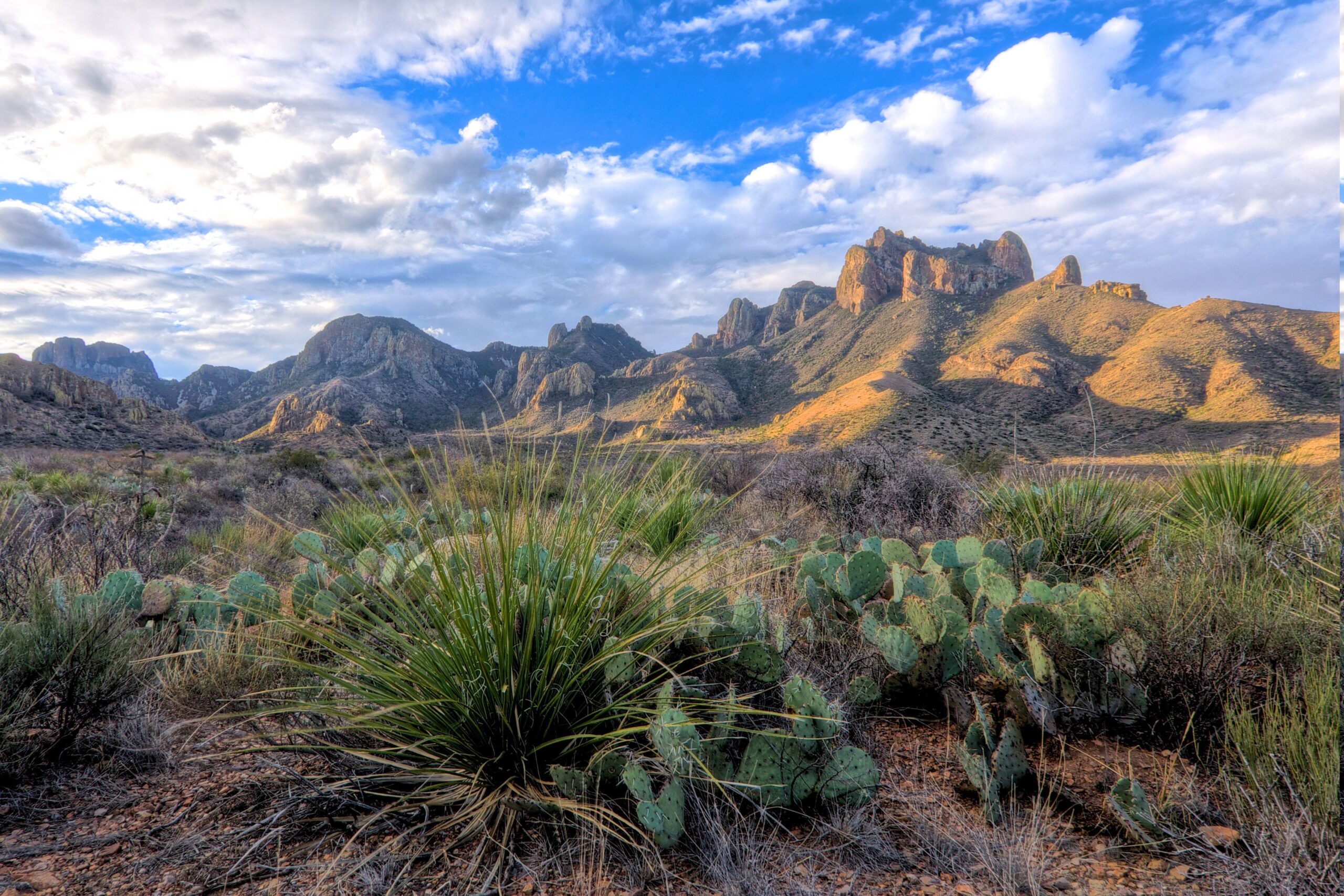 Wallpapers Hd Texas