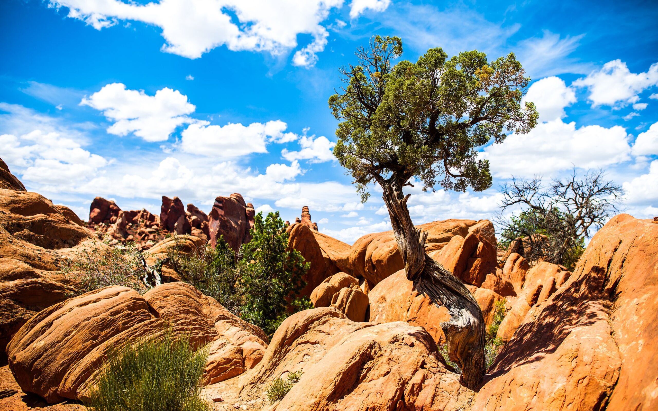 Canyonlands National Park