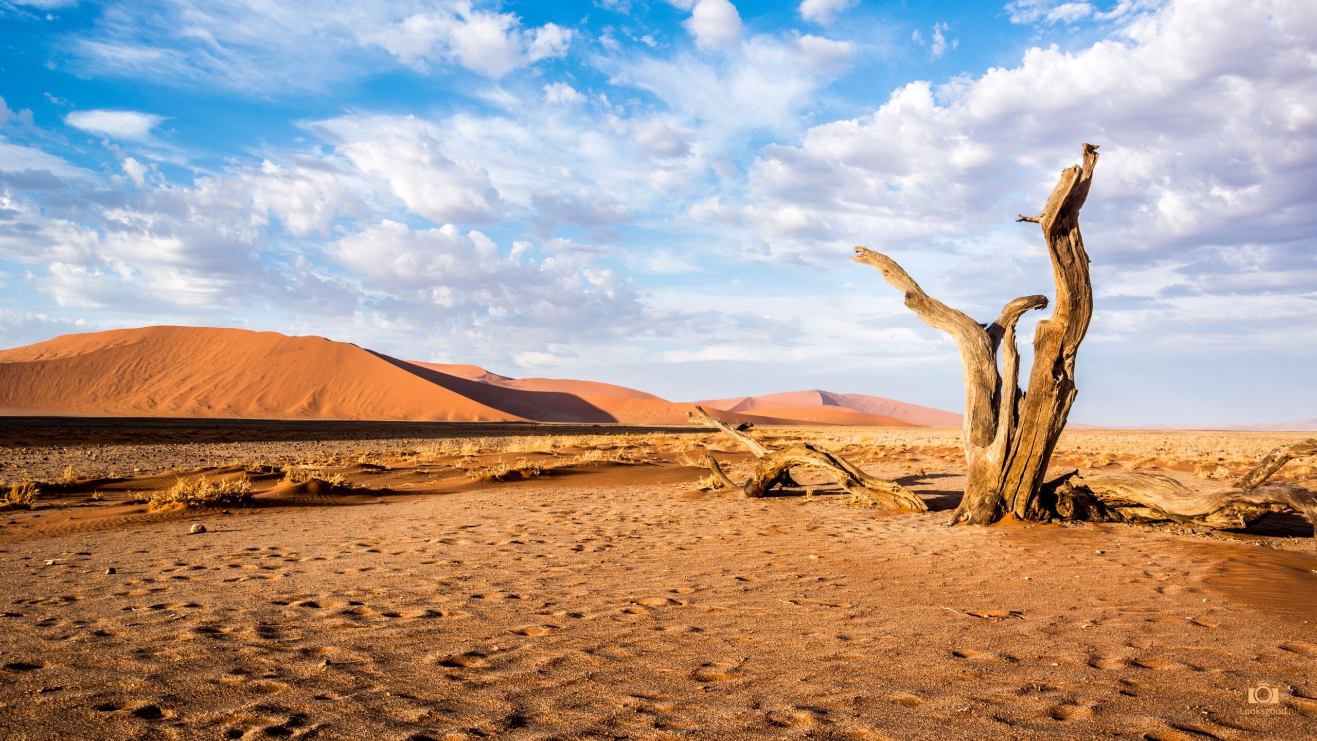 Sossusvlei Namibia Desert 4K Wallpapers / Desktop Backgrounds