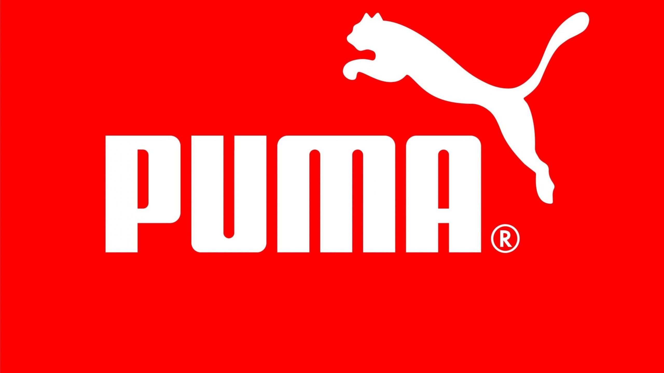 4K Ultra HD Puma Wallpapers HD, Desktop Backgrounds