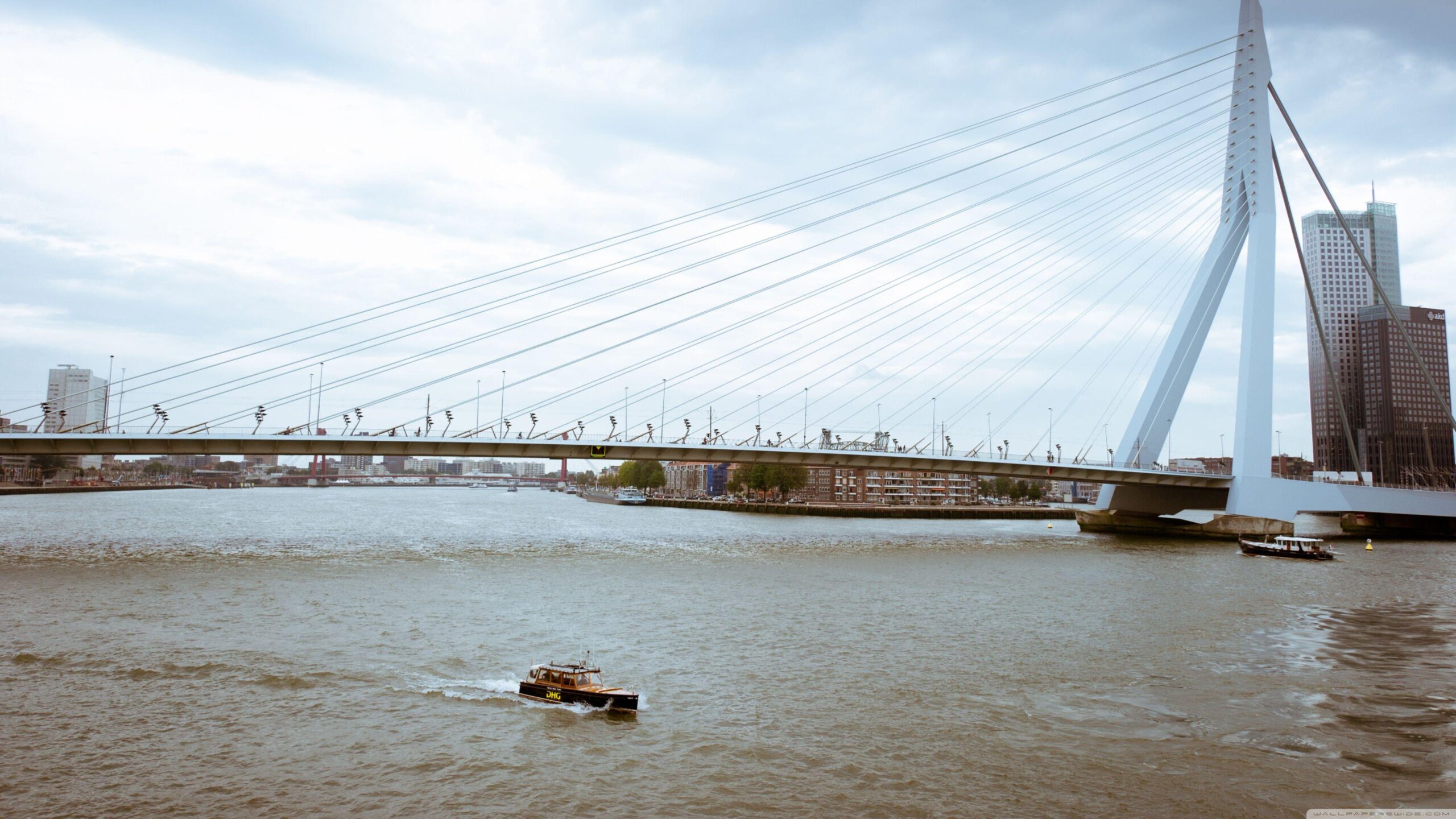 Erasmus Bridge, Rotterdam, Netherlands ❤ 4K HD Desktop Wallpapers