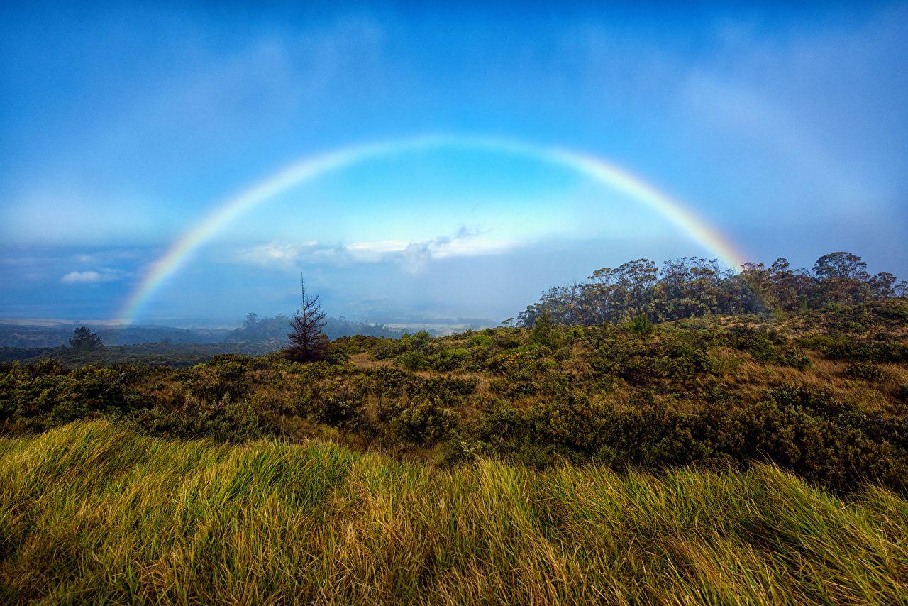 Hawaii Haleakala National Park Rainbow Maui Nature Parks Grass