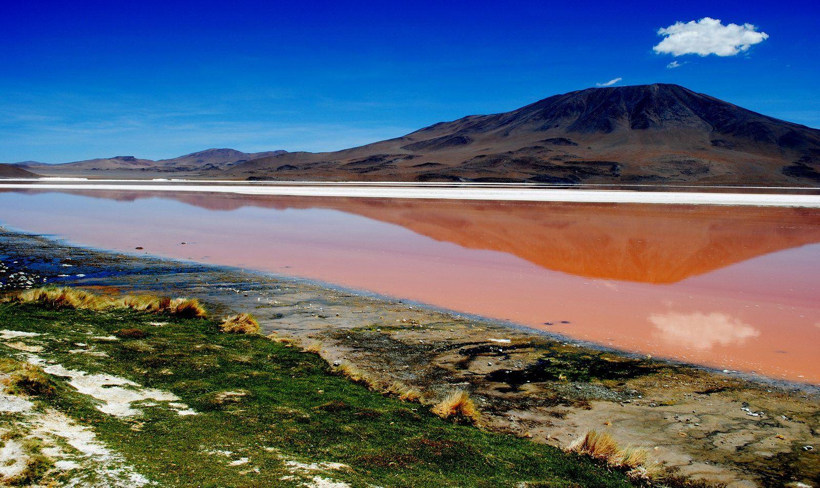 laguna colorada bolivia