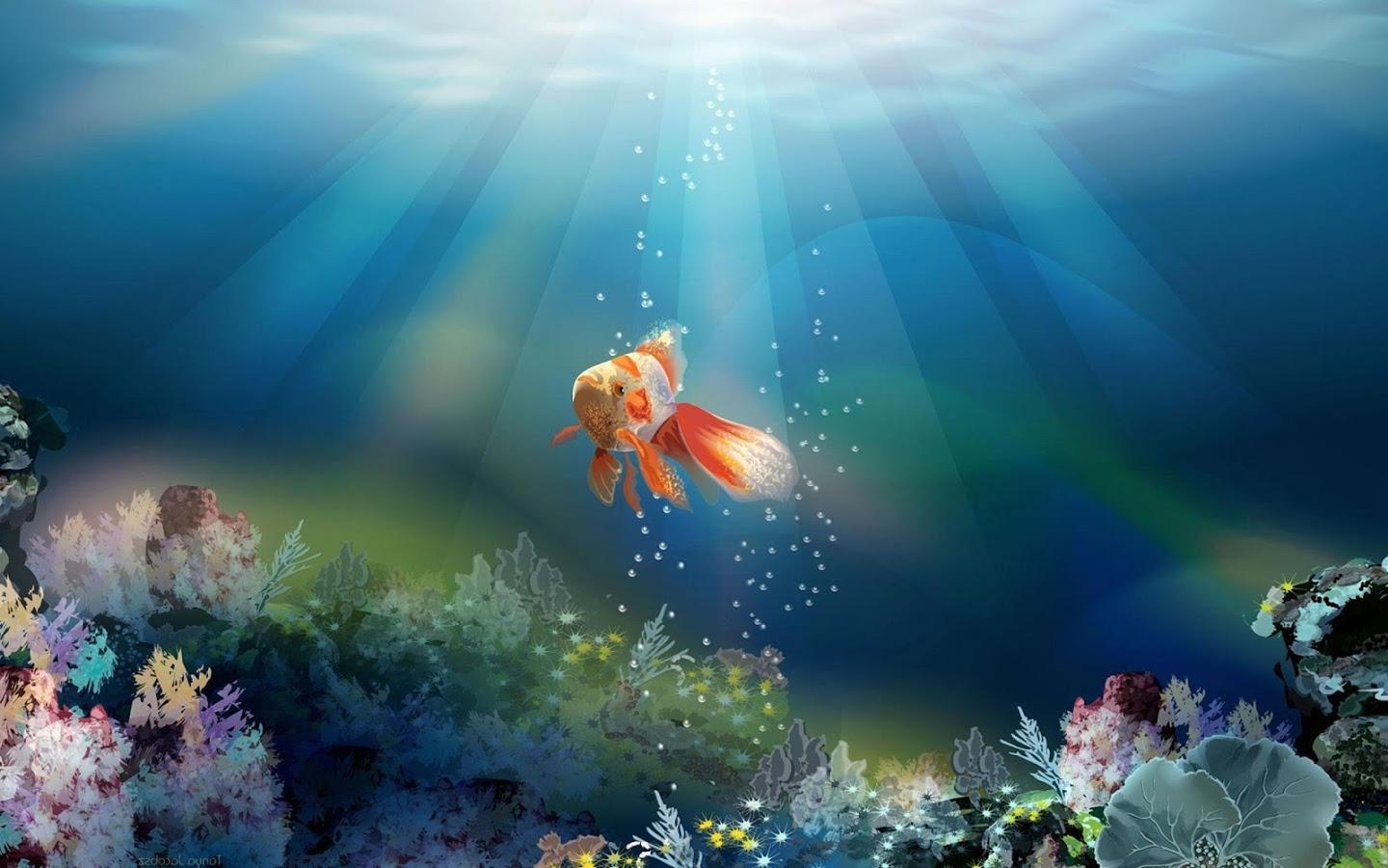 Goldfish Wallpapers PC