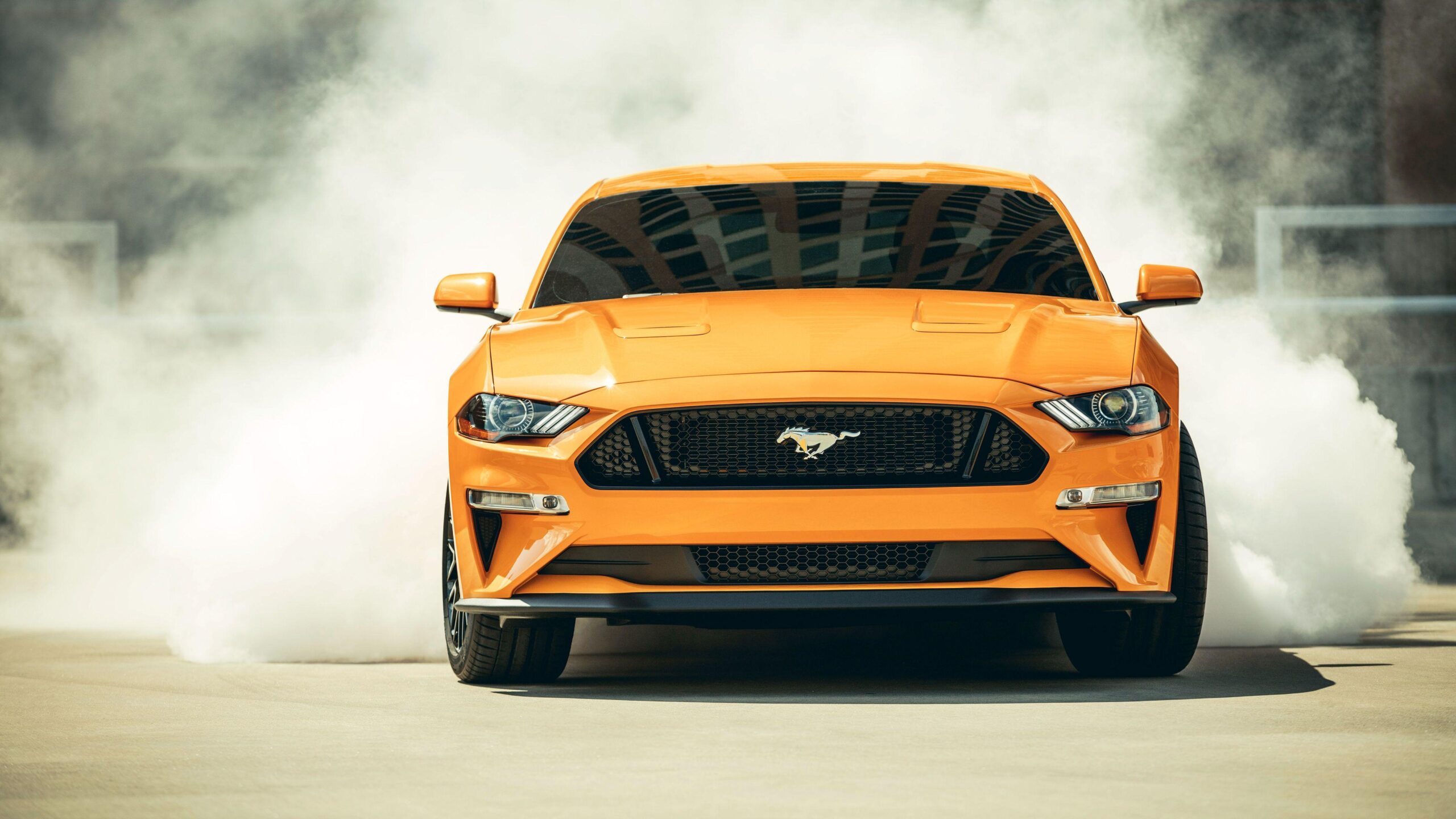 Wallpapers Ford Mustang, 2018, HD, 4K, Automotive / Cars,