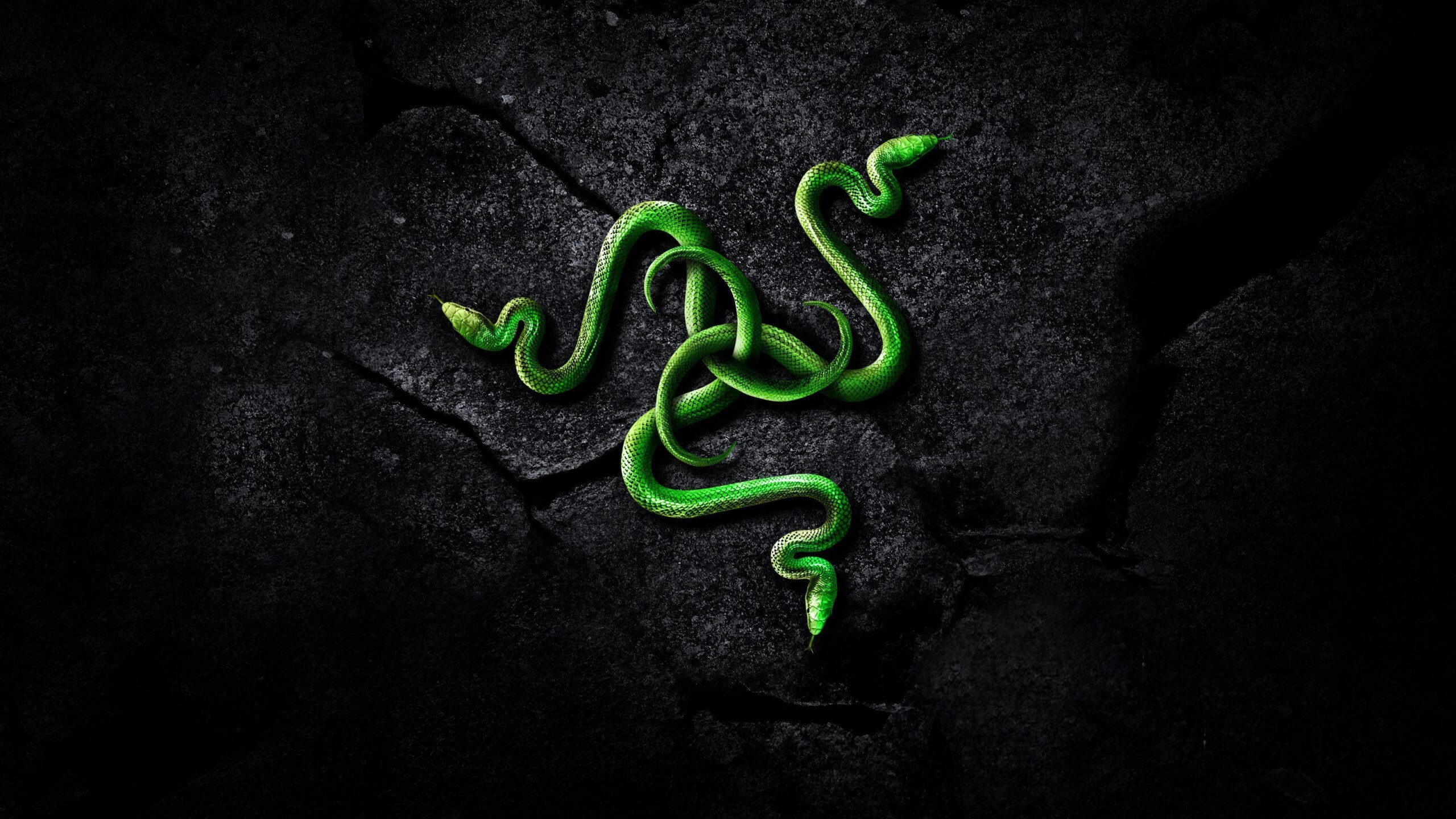 Razer Wallpapers 4K