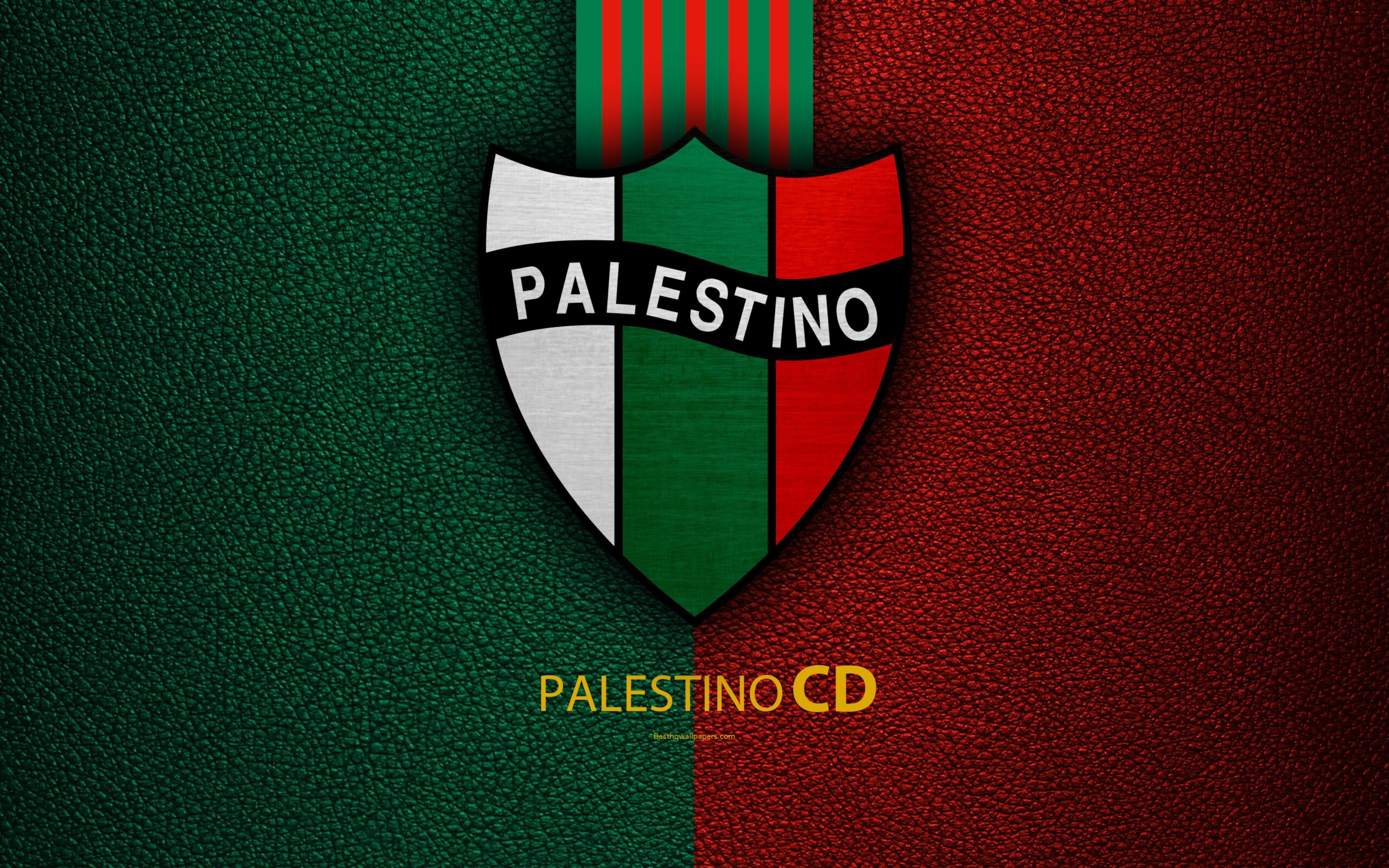 Download wallpapers Club Deportivo Palestino, 4k, logo, leather