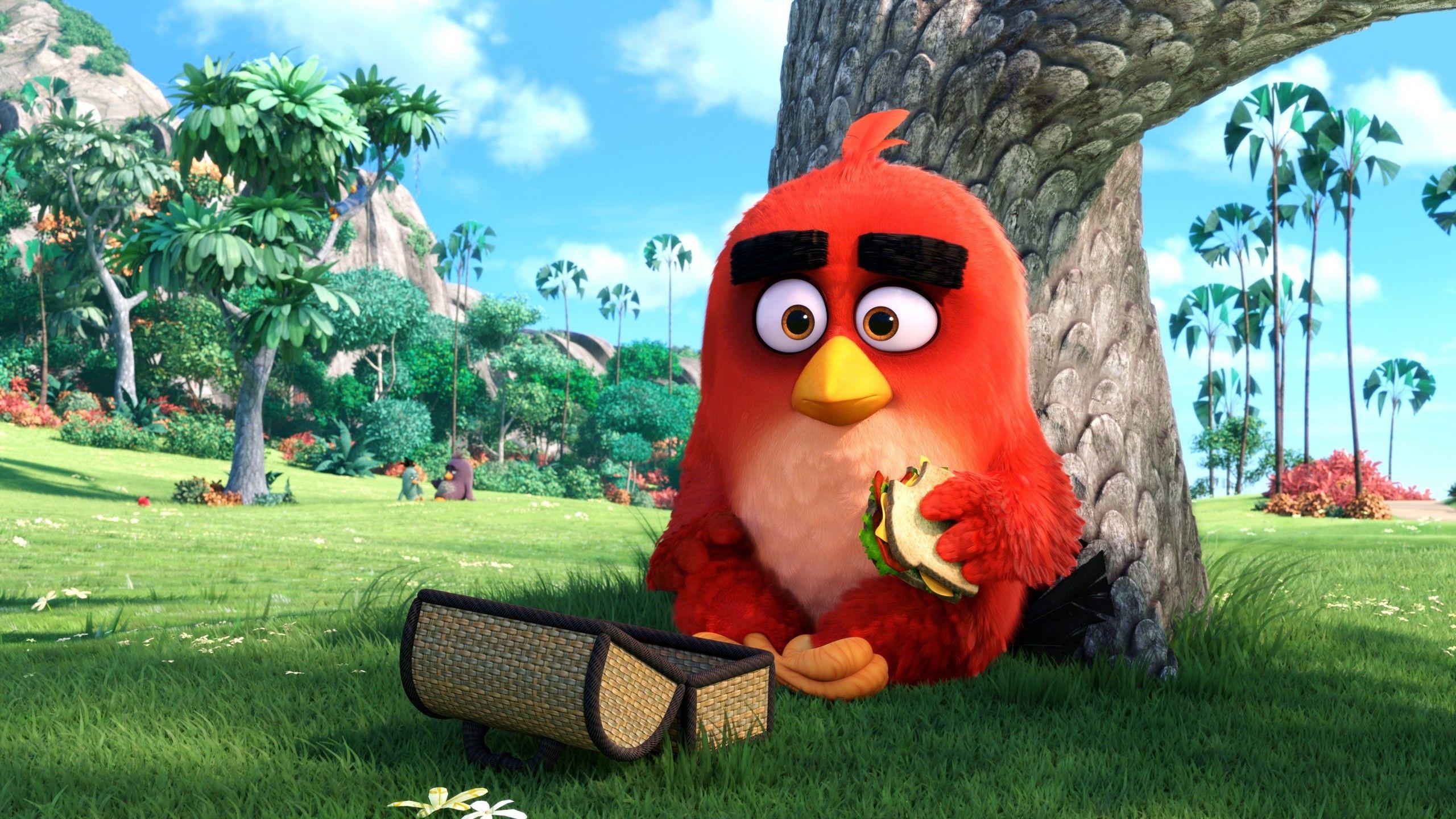 Wallpapers Red, Angry Birds, 2016, 4K, Movies,