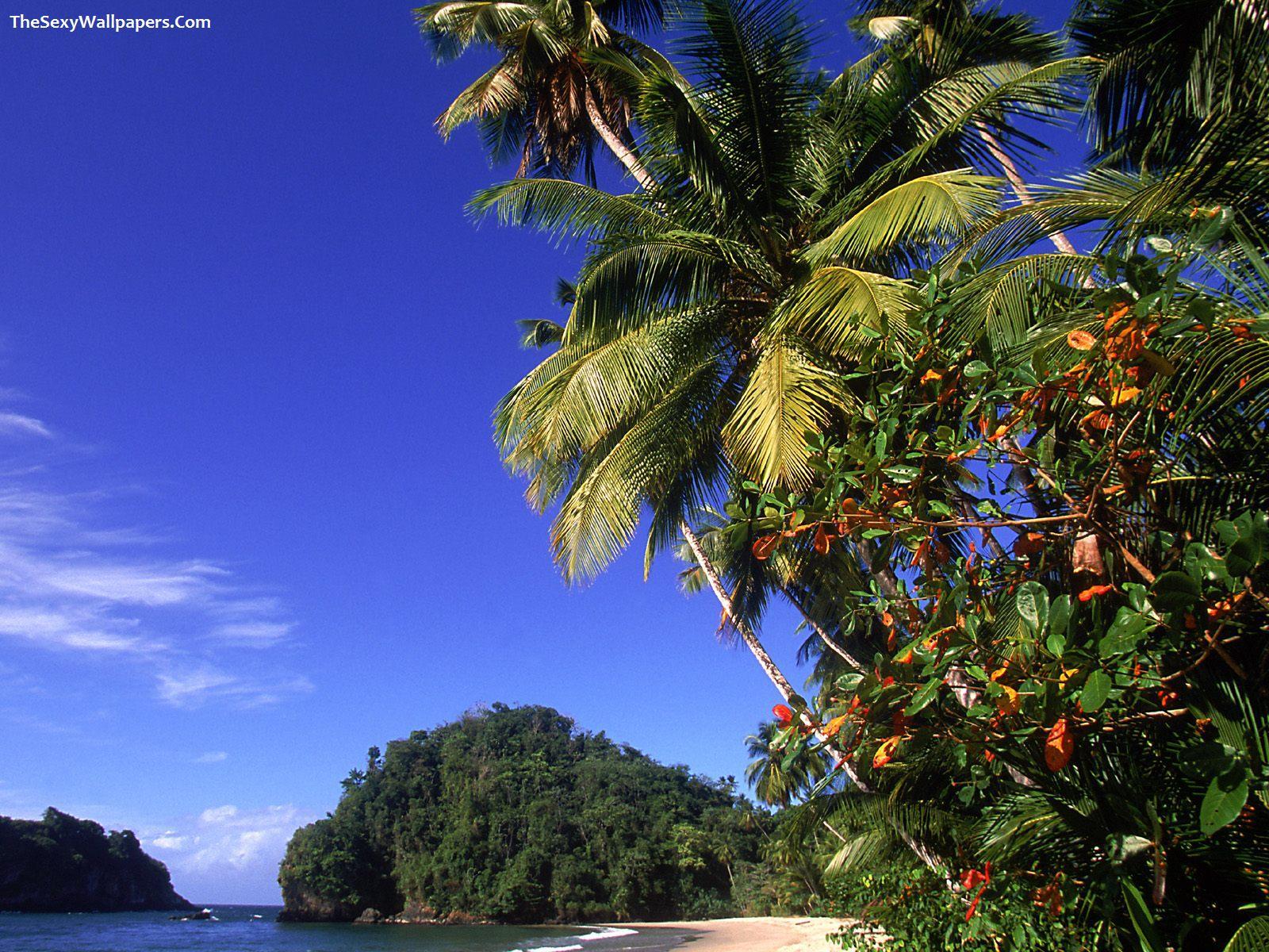 Paria Beach Trinidad Wallpapers