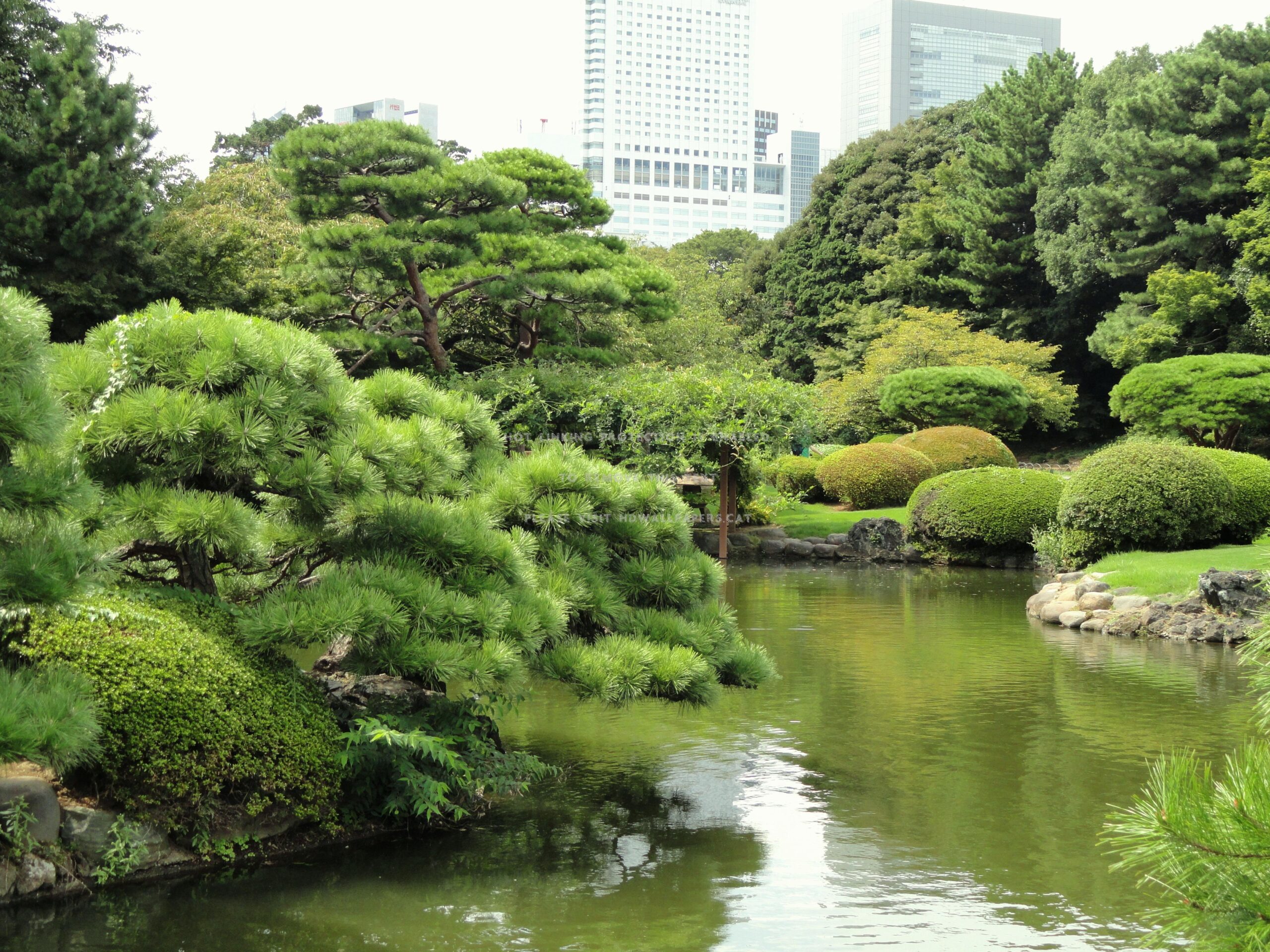 shinjuku gyoen japanese lake tokyo park