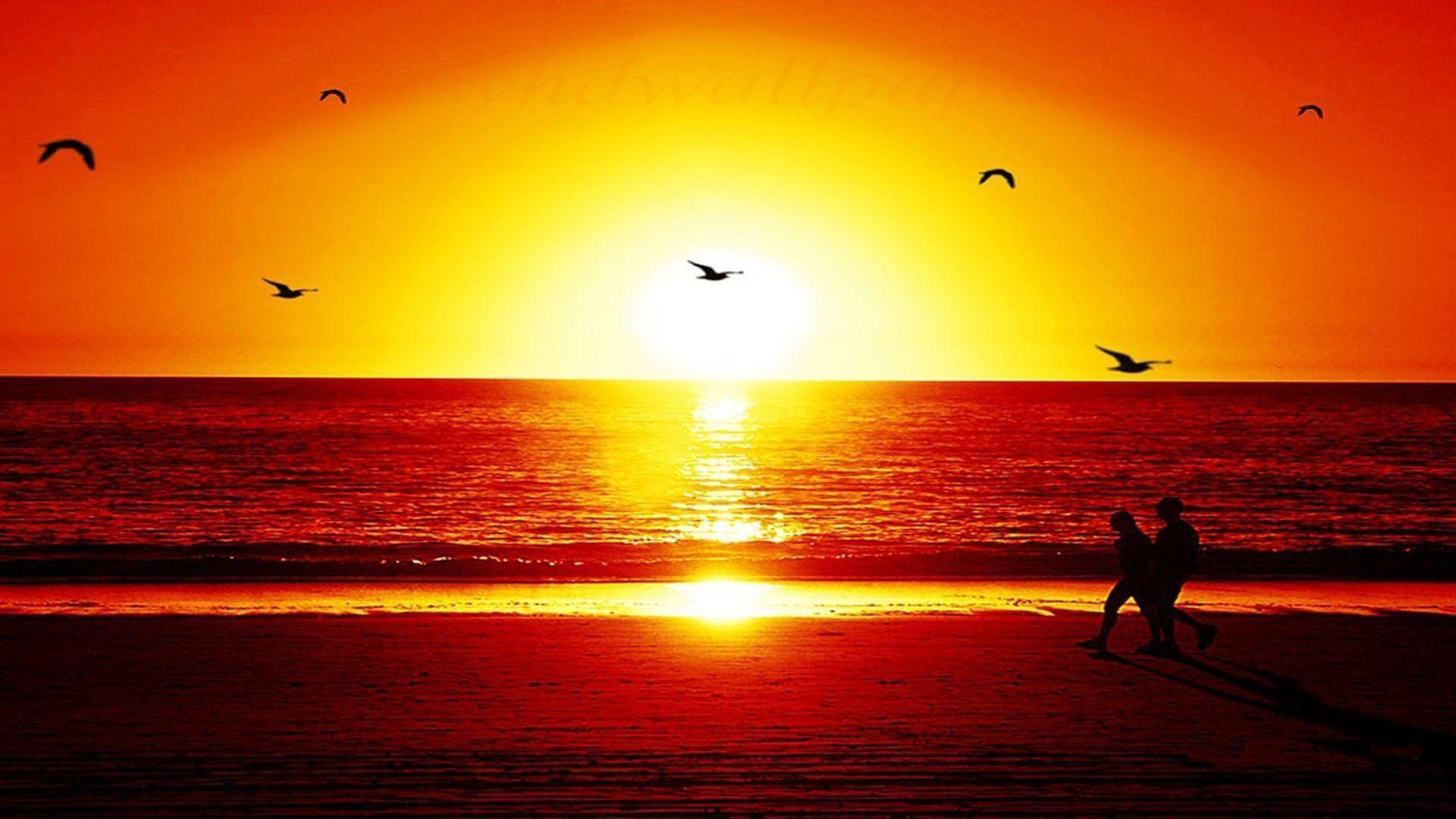 Sunset Wallpapers 51 Backgrounds